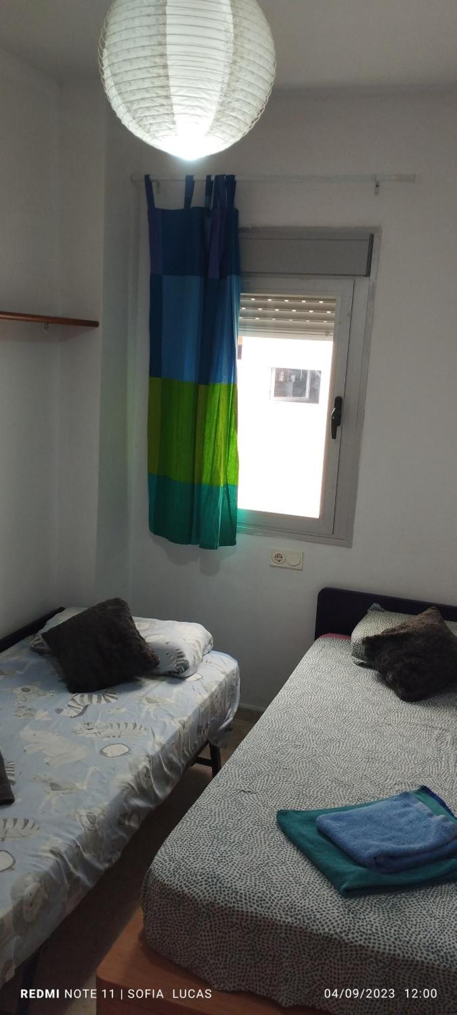 Disfruta Granada,incluso Con Tu Mascota Parking