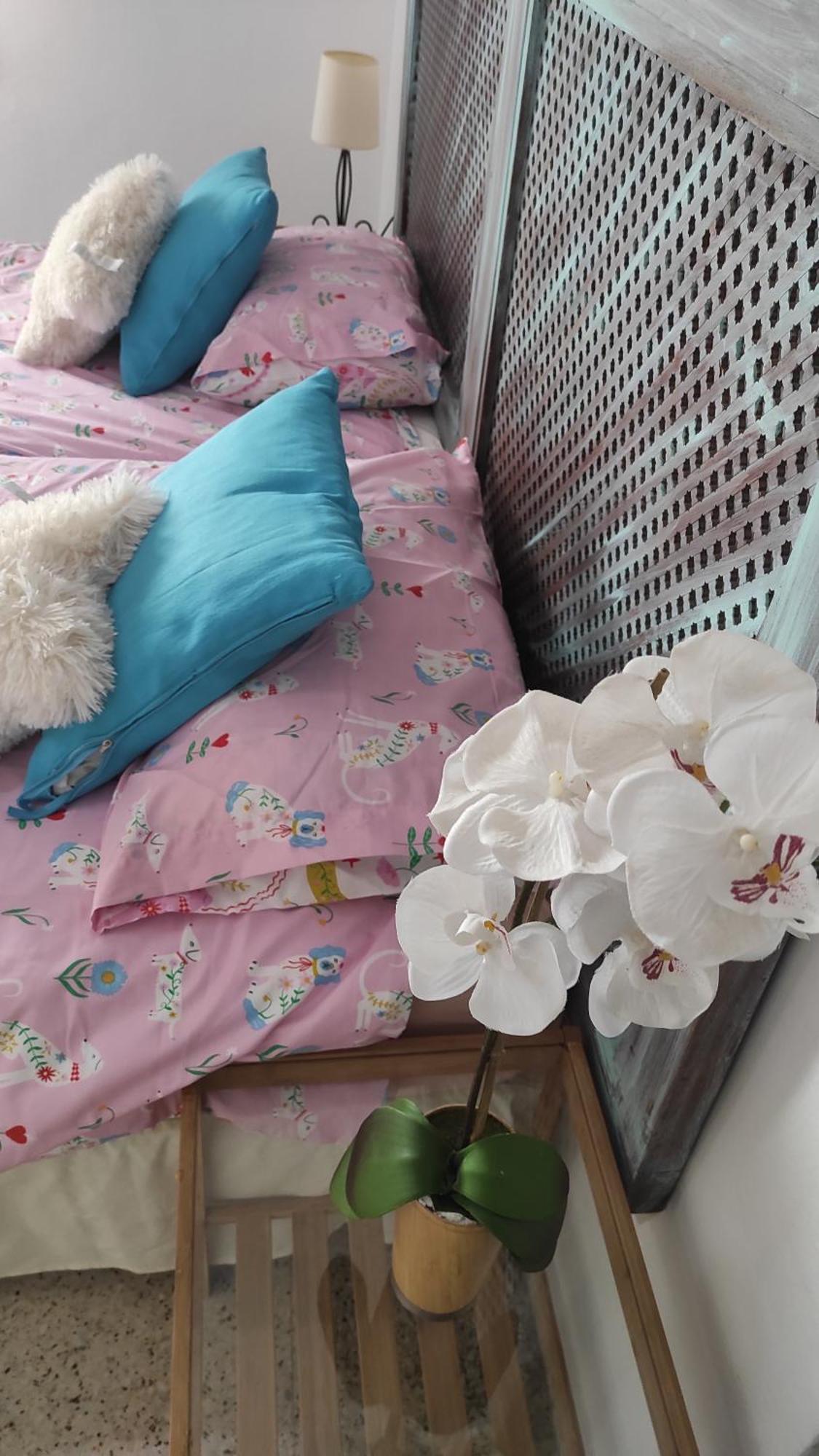 Apartamento Céntrico Piso Con Aparcamiento