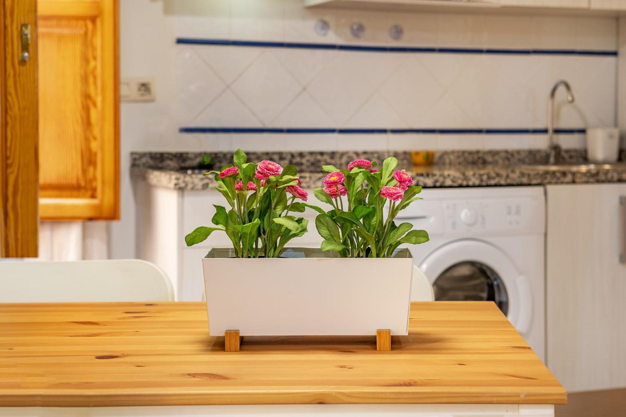 Luxury San Matias Apartamento Granada