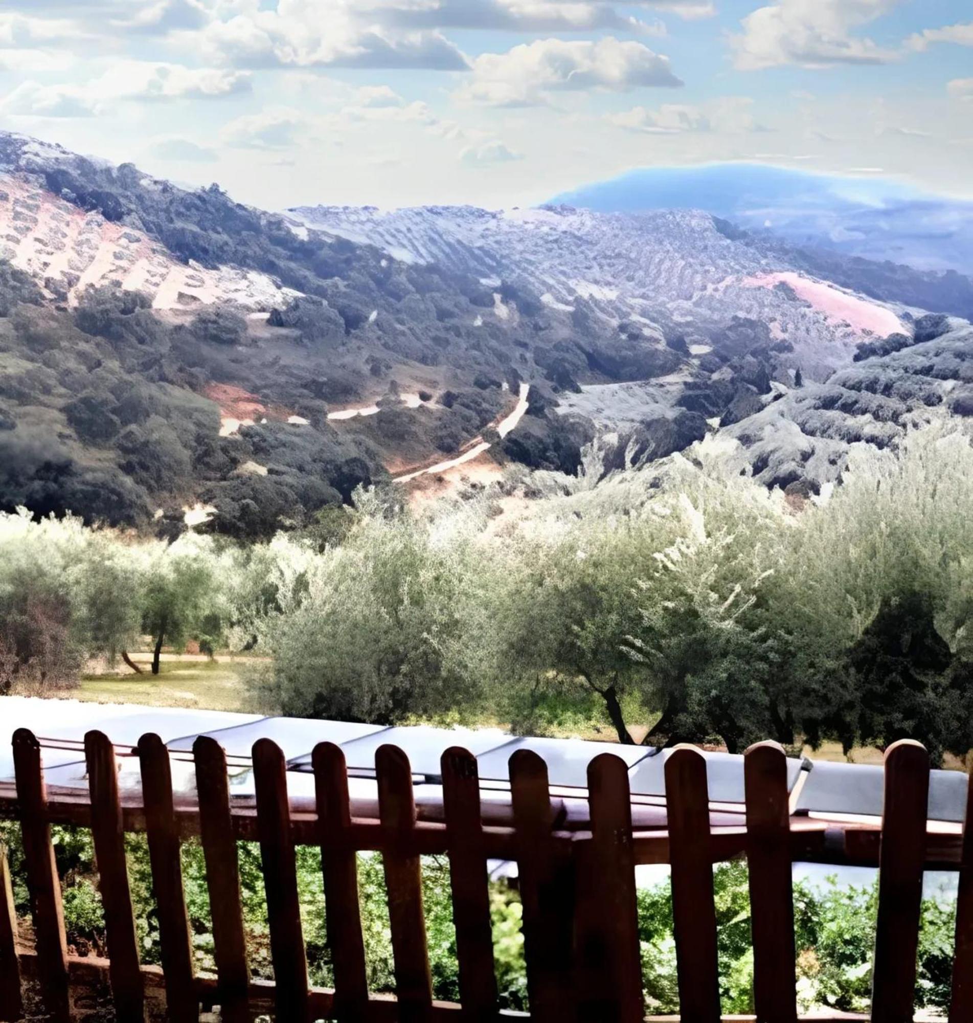 Elegant In With Pool And Garden Villa Granada