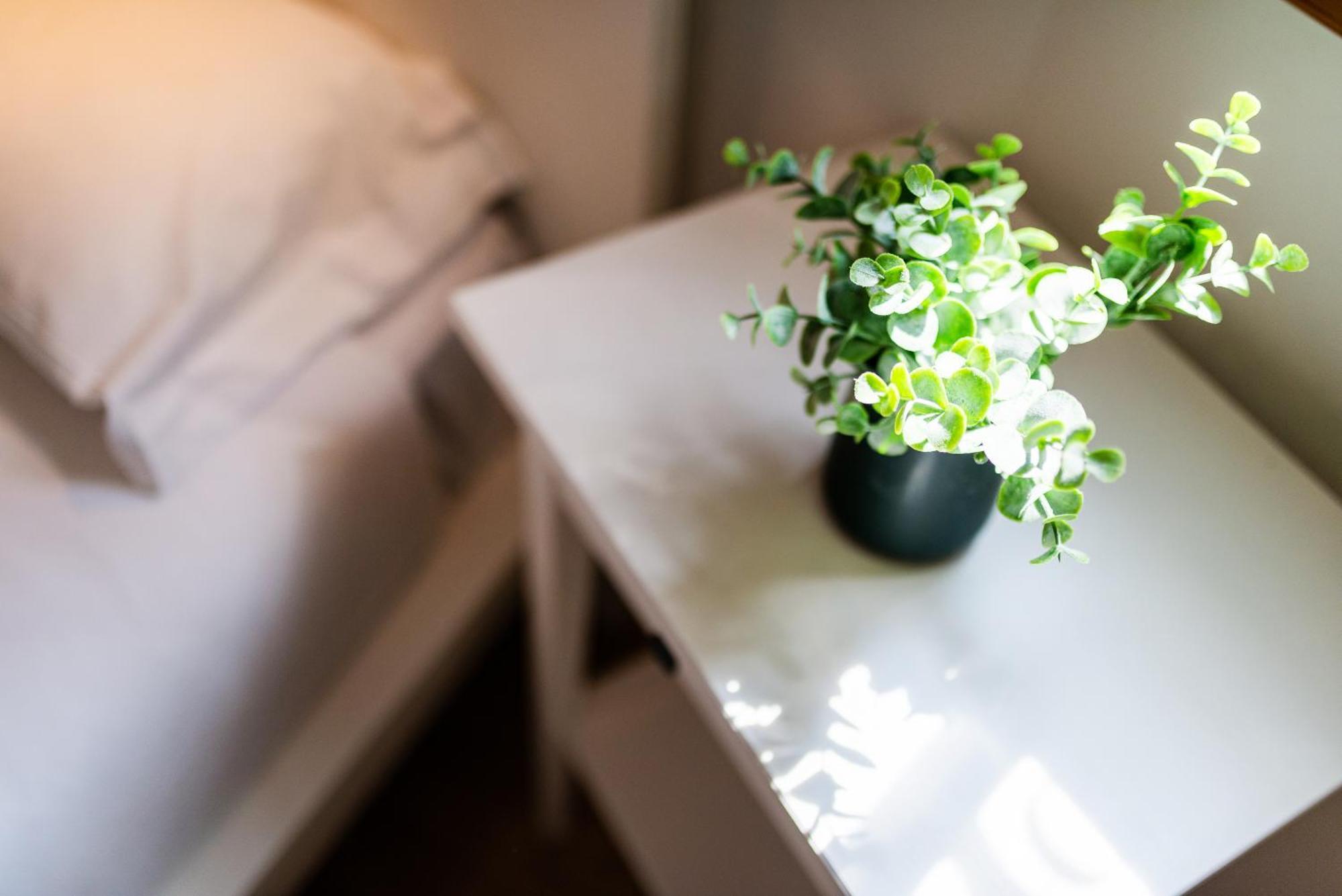 Apartamento Amalia Granada