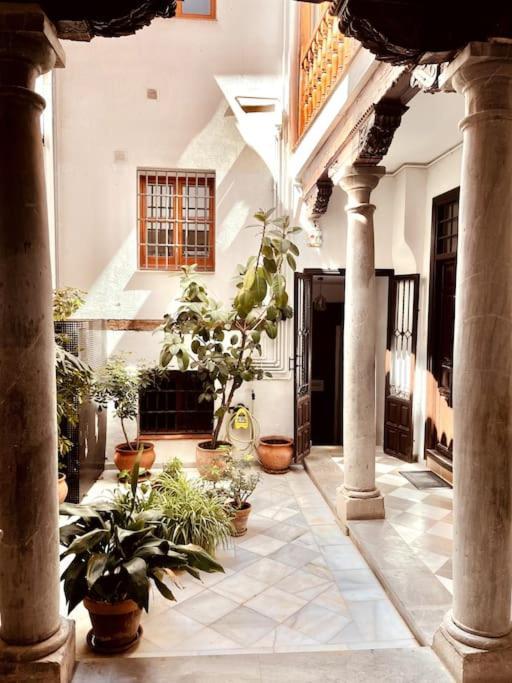 Charming, Spacious Albayzin