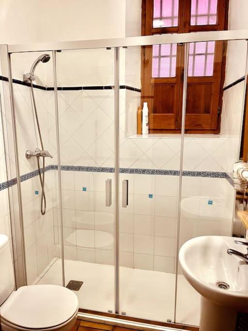 Charming, Spacious Albayzin *