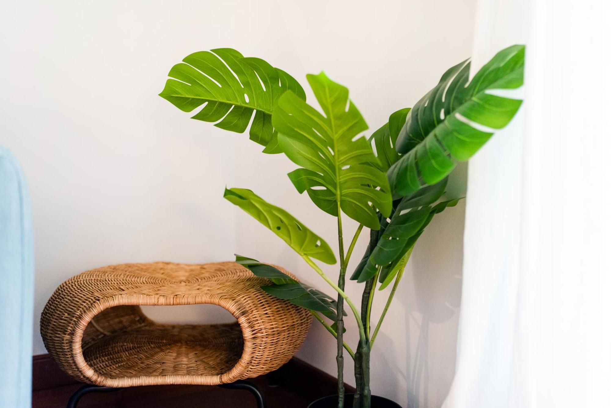 Con Encanto, Centro Apartamento *