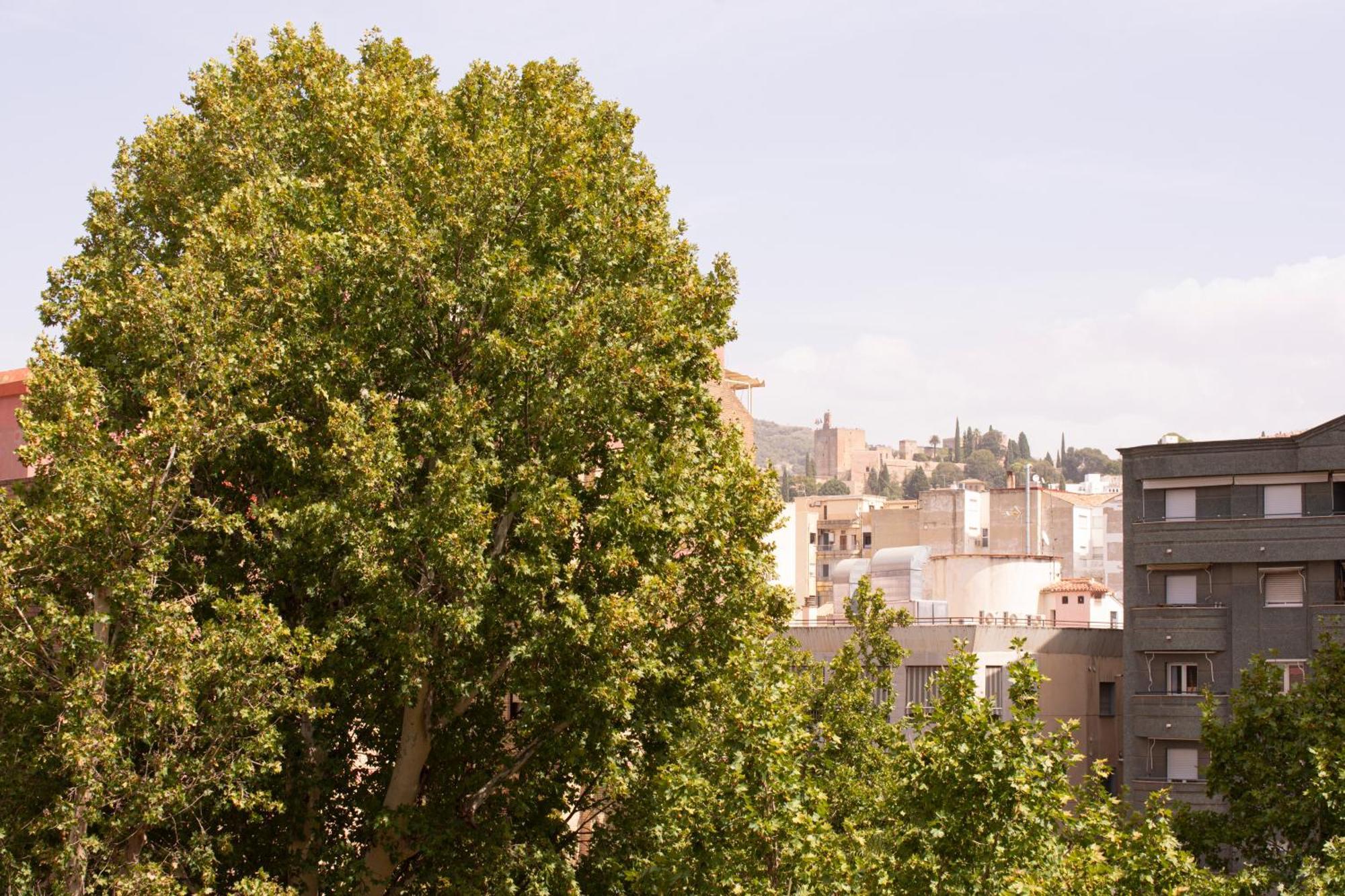 Centro