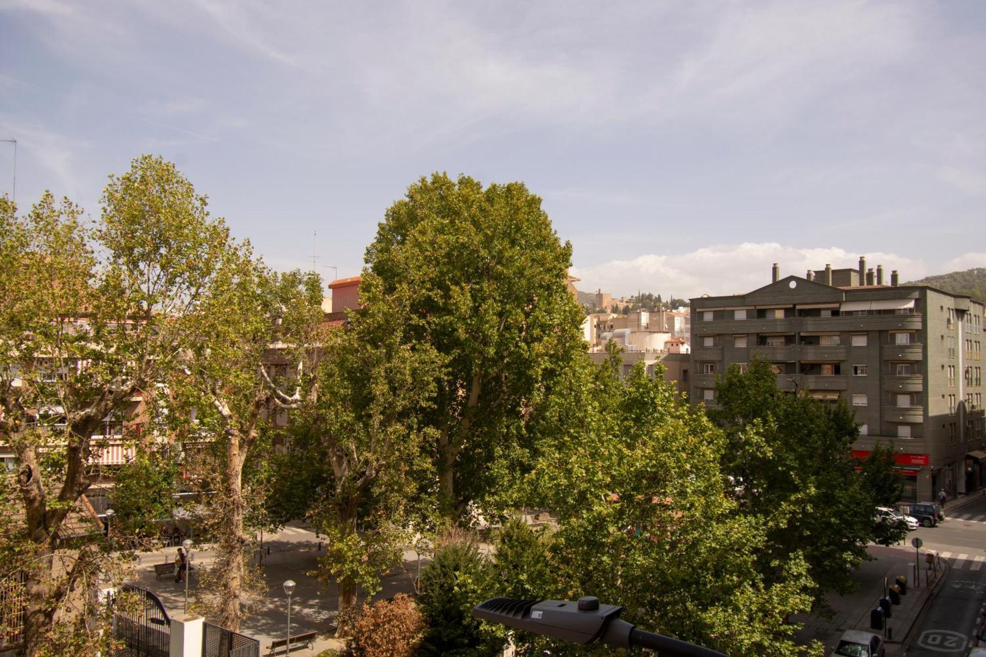 Centro *