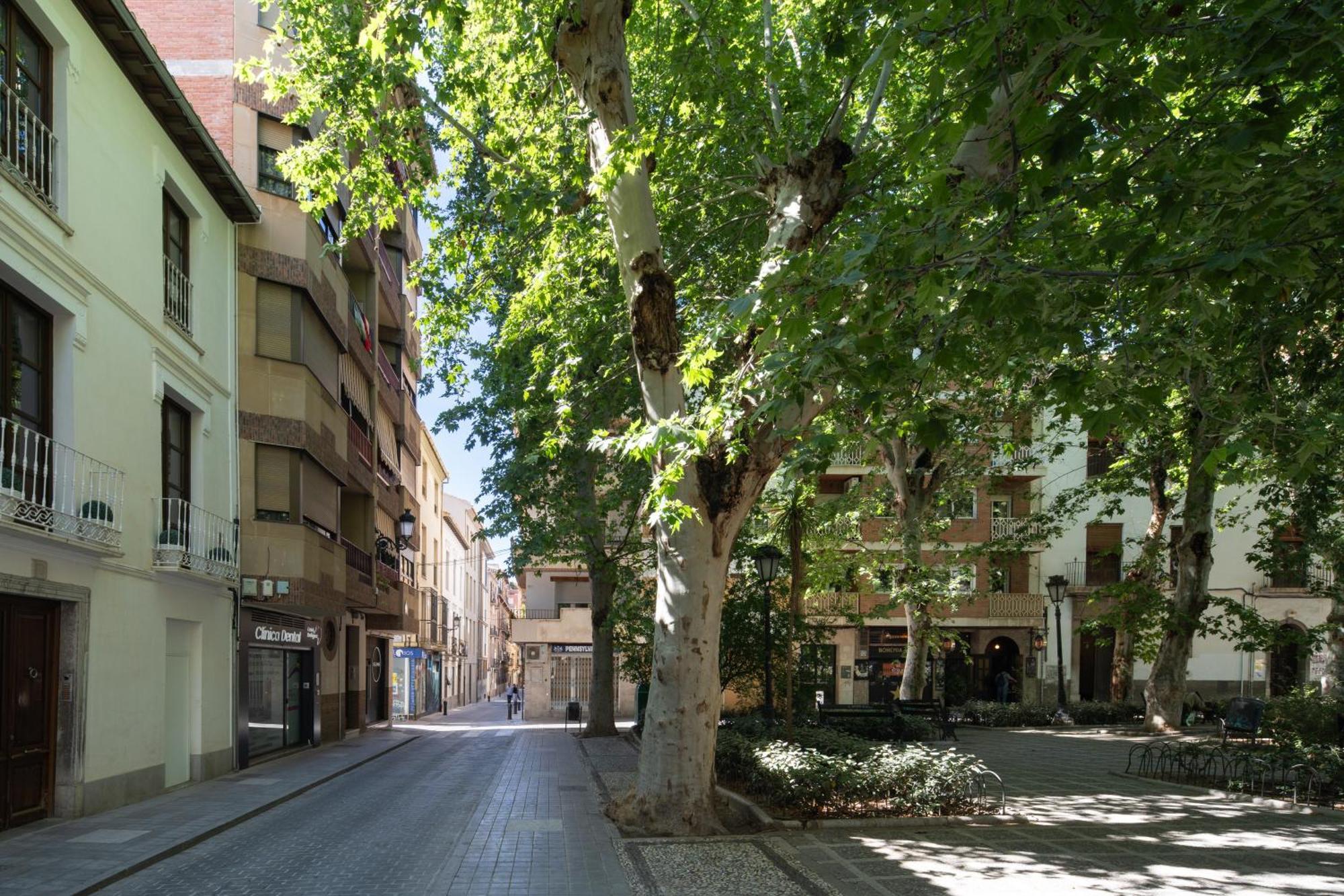 Apartamento Lobos Deluxe Granada