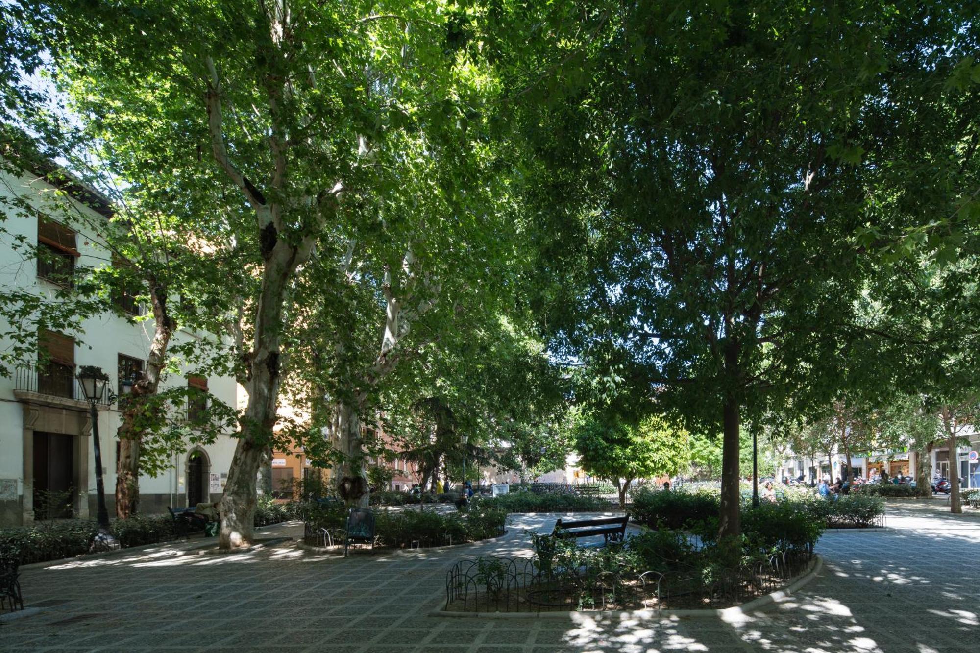Apartamento Lobos Deluxe Granada