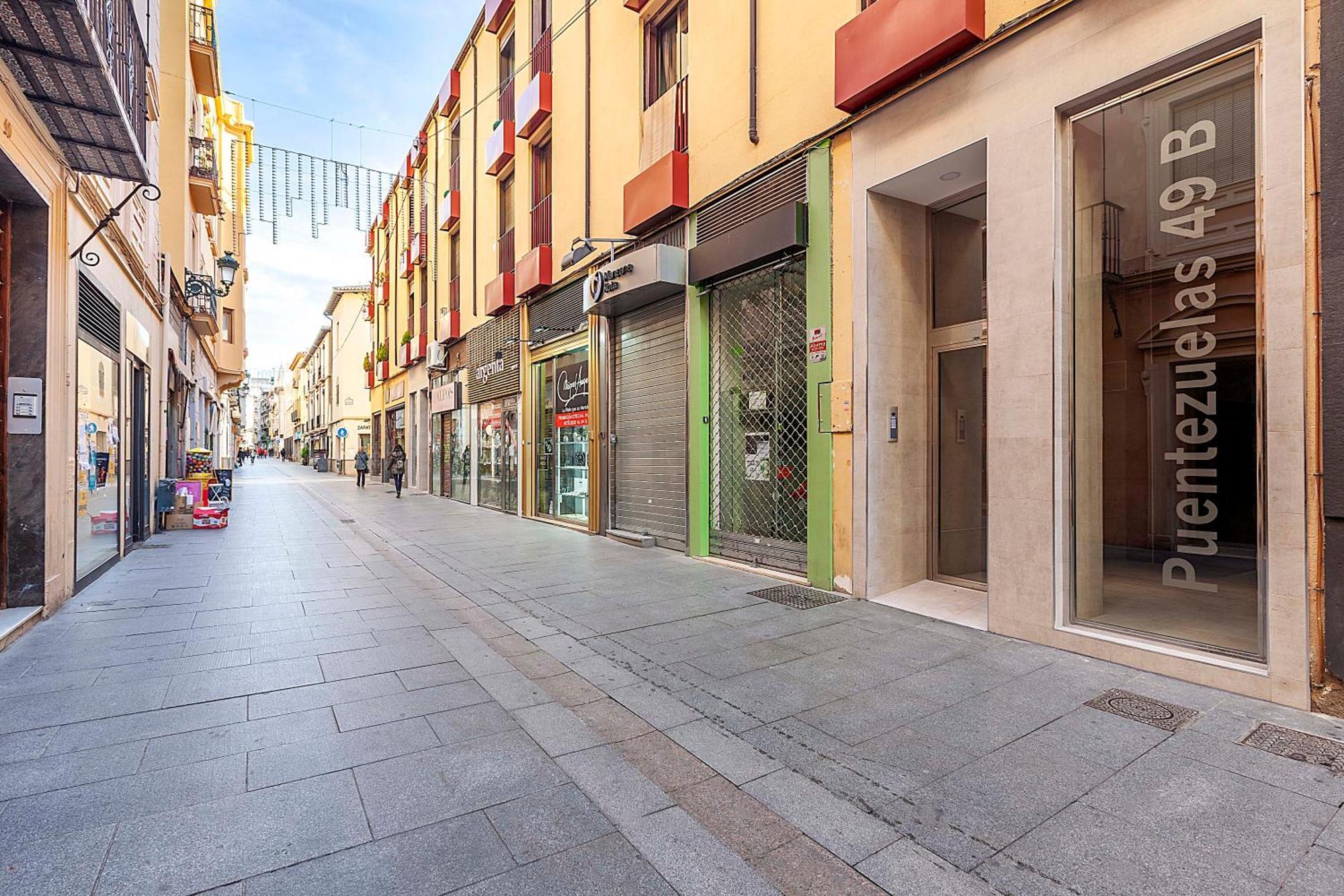 Puentezuelas 49 Apartamento Granada