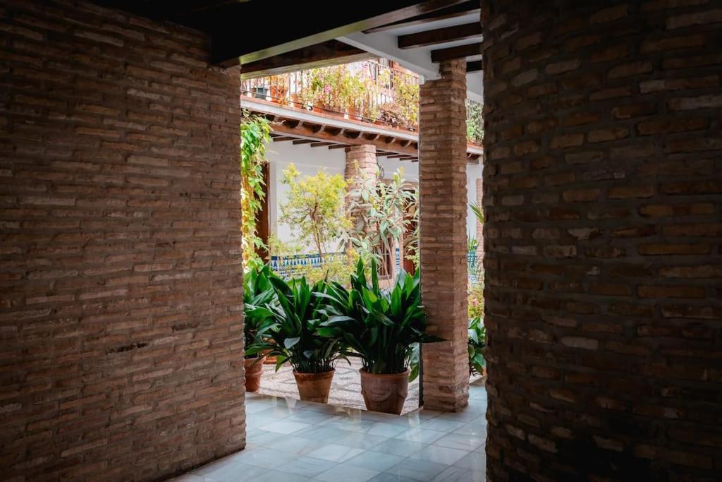 Apartment Qh Caldeleria Vieja Granada