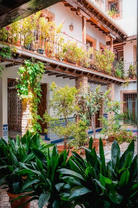Qh Caldeleria Vieja Granada