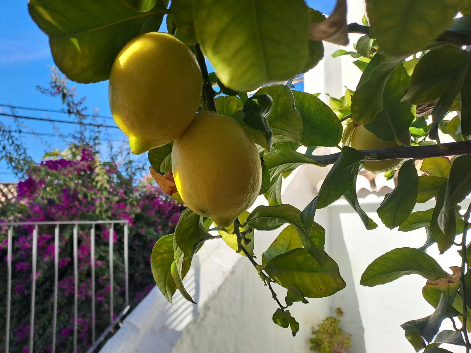 Apartment Casa Alhambra - Centro Historico Con Jardin Privado