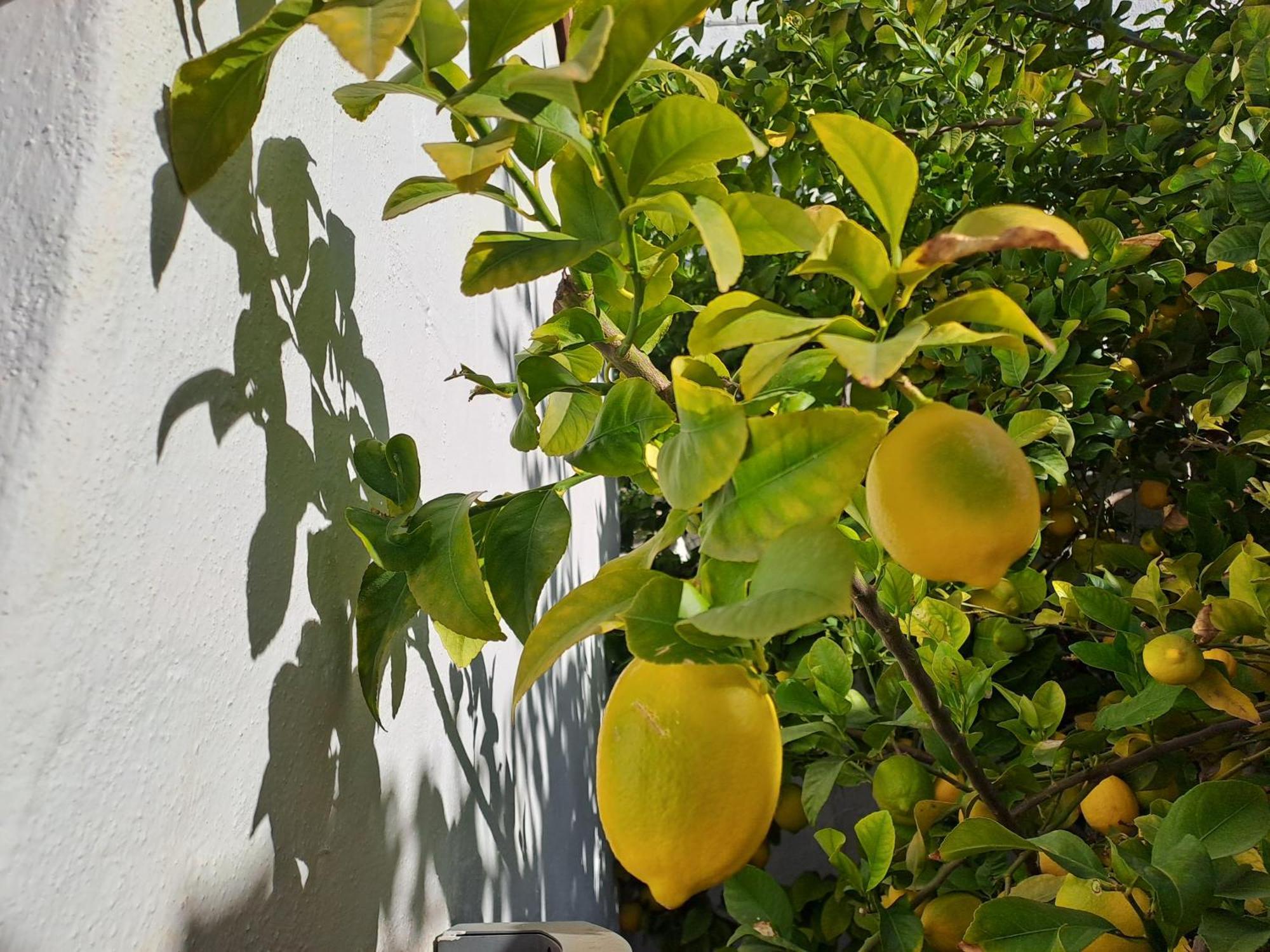 Apartment Casa Alhambra - Centro Historico Con Jardin Privado Granada