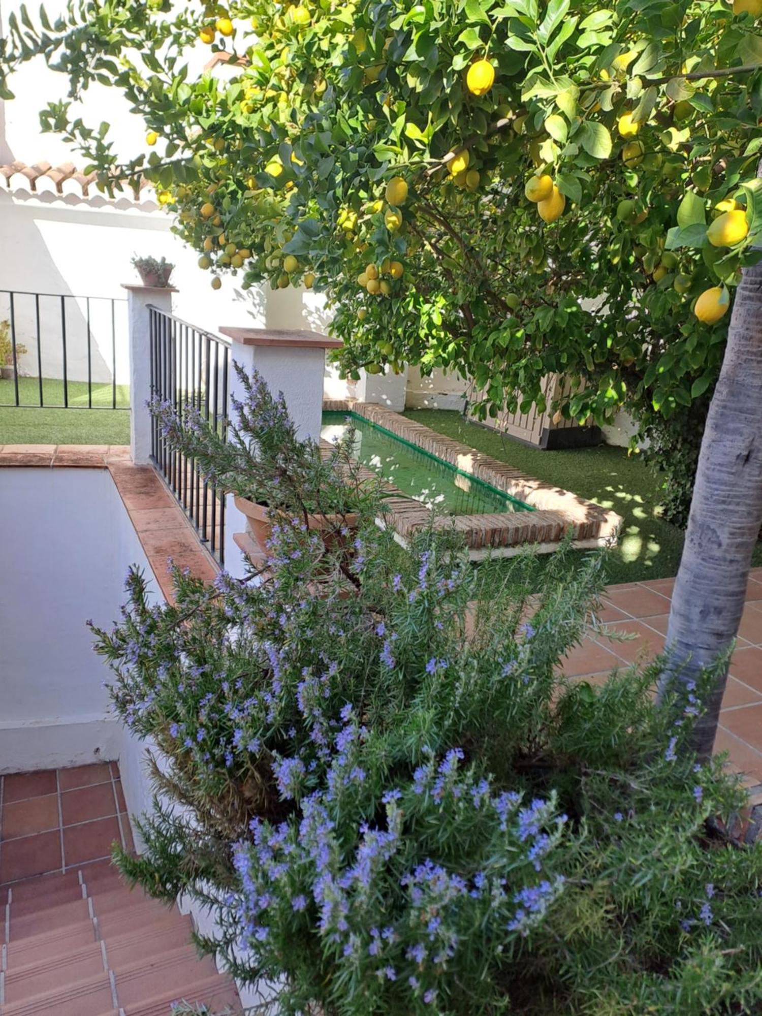 Apartment Casa Alhambra - Centro Historico Con Jardin Privado