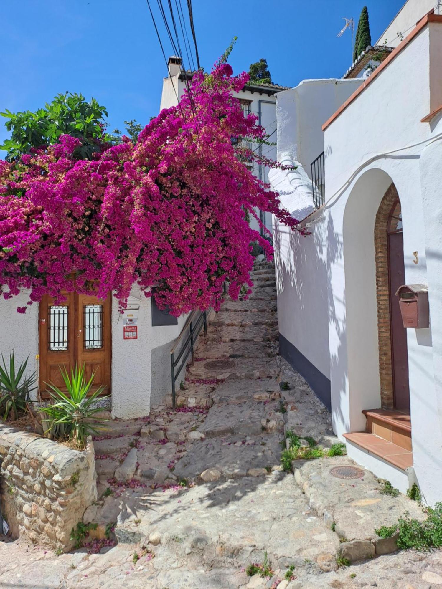 Casa Alhambra - Centro Historico Con Jardin Privado Apartment Granada