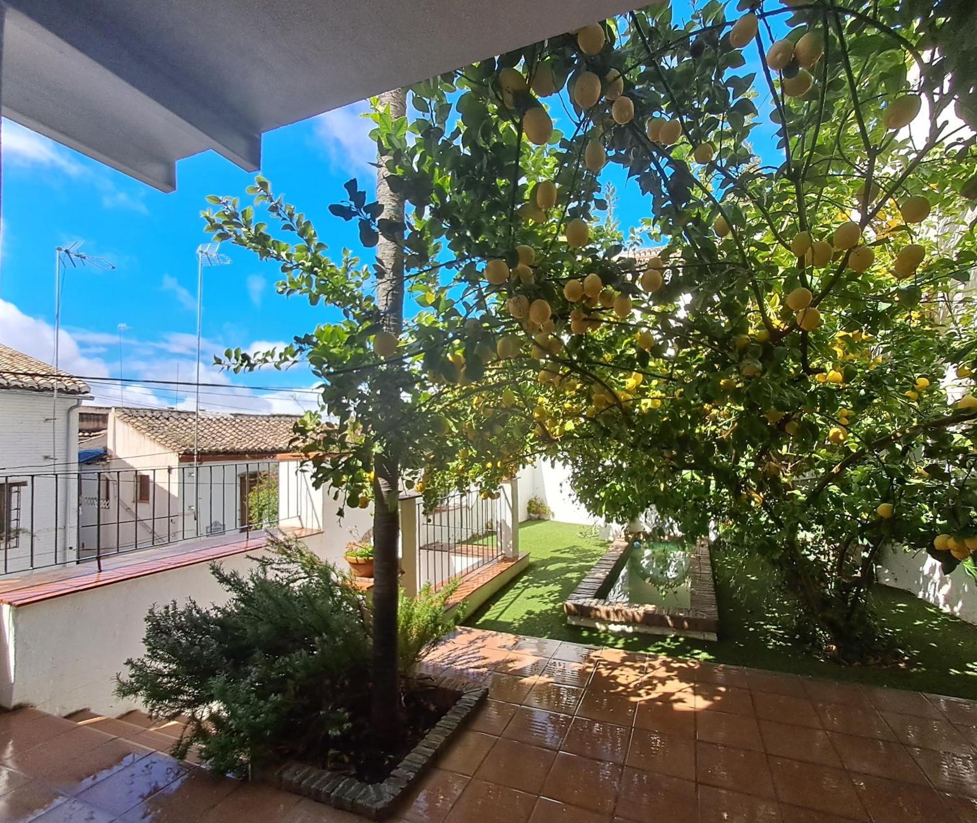 Casa Alhambra - Centro Historico Con Jardin Privado *