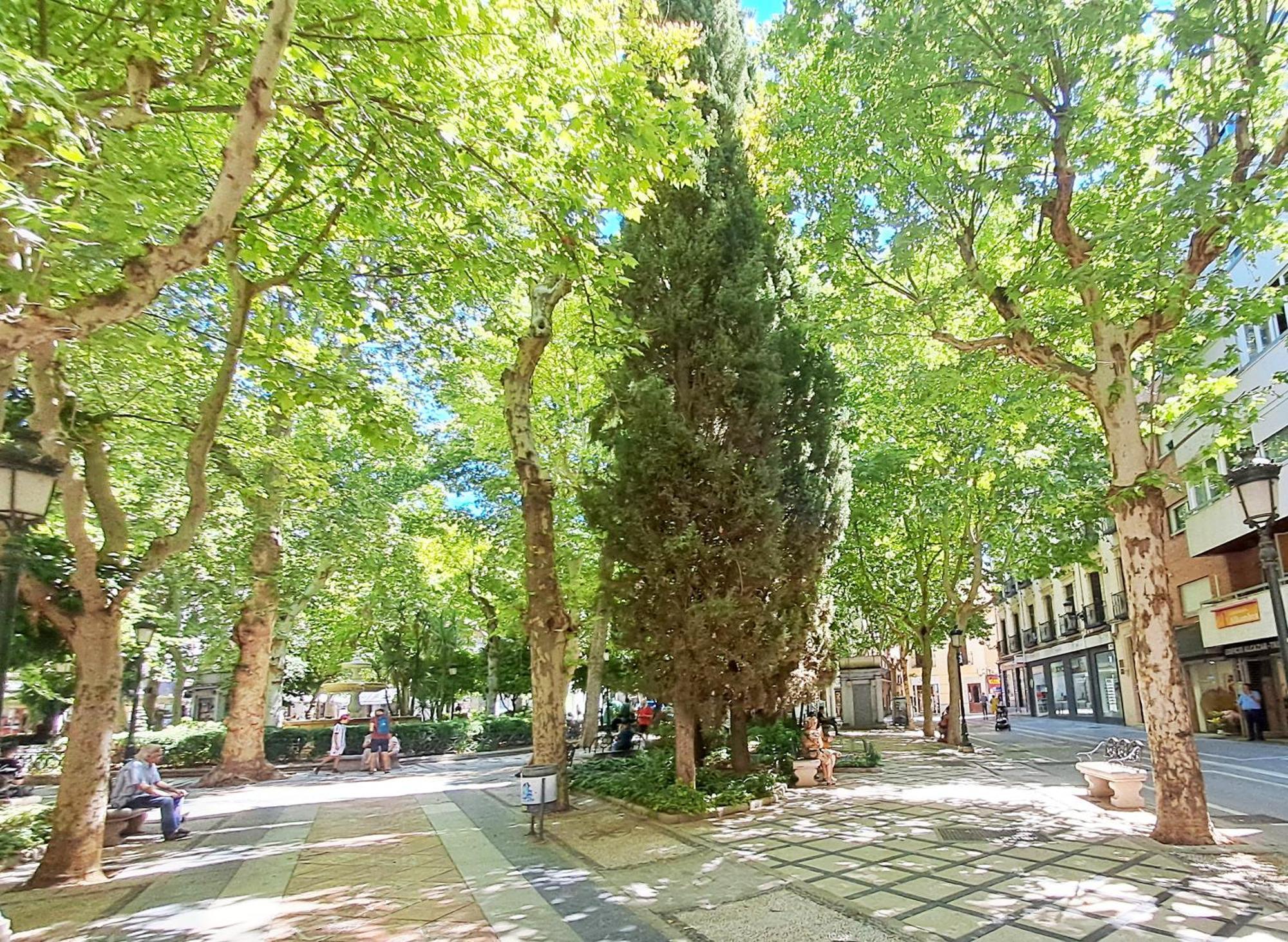 Apartasuite Deluxe Centro Histórico ático Tranquilo Con Terrazas A Pie De Calle Apartamento Granada