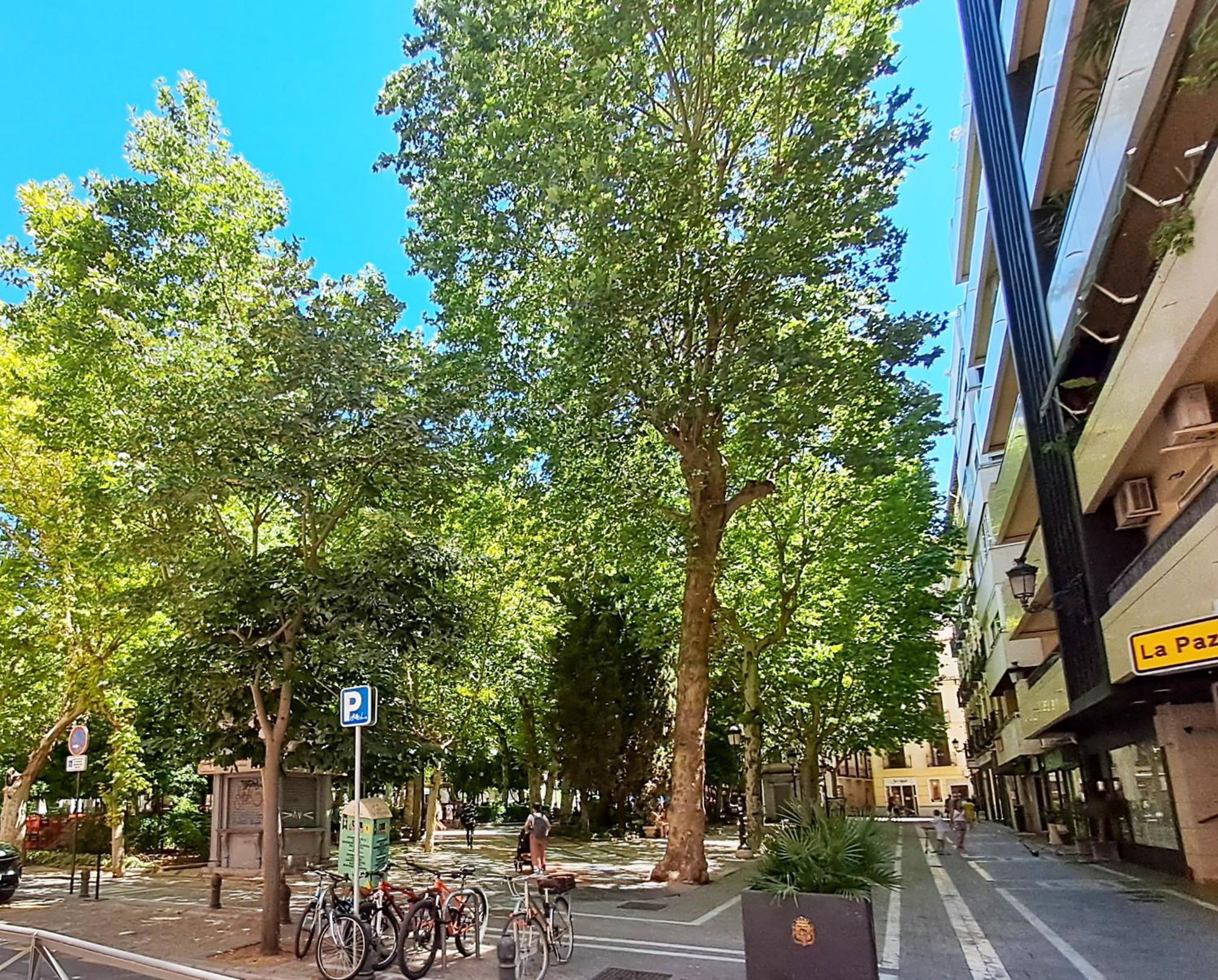 Apartasuite Deluxe Centro Histórico ático Tranquilo Con Terrazas A Pie De Calle * Granada