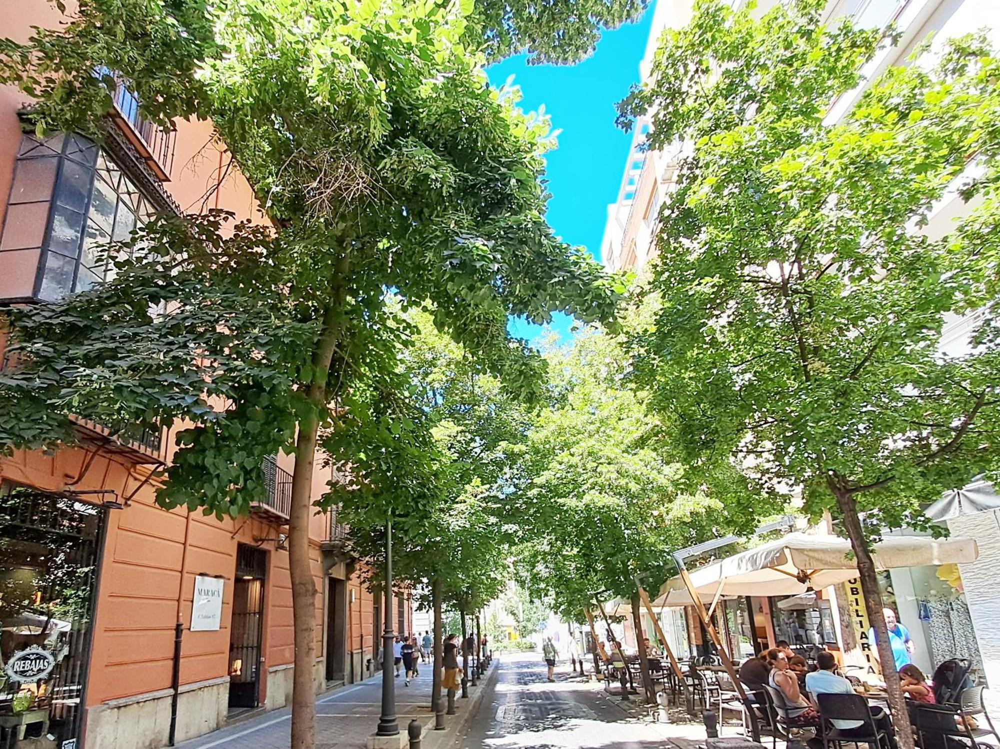 Apartasuite Deluxe Centro Histórico ático Tranquilo Con Terrazas A Pie De Calle Apartamento Granada