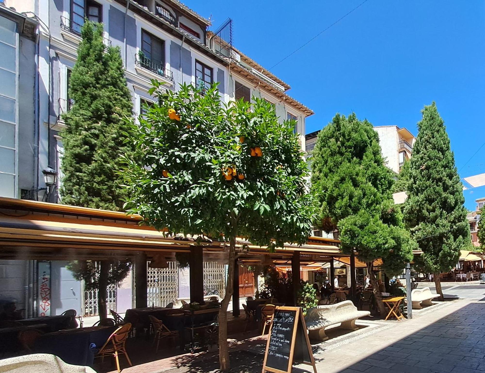 Apartasuite Deluxe Centro Histórico ático Tranquilo Con Terrazas A Pie De Calle *