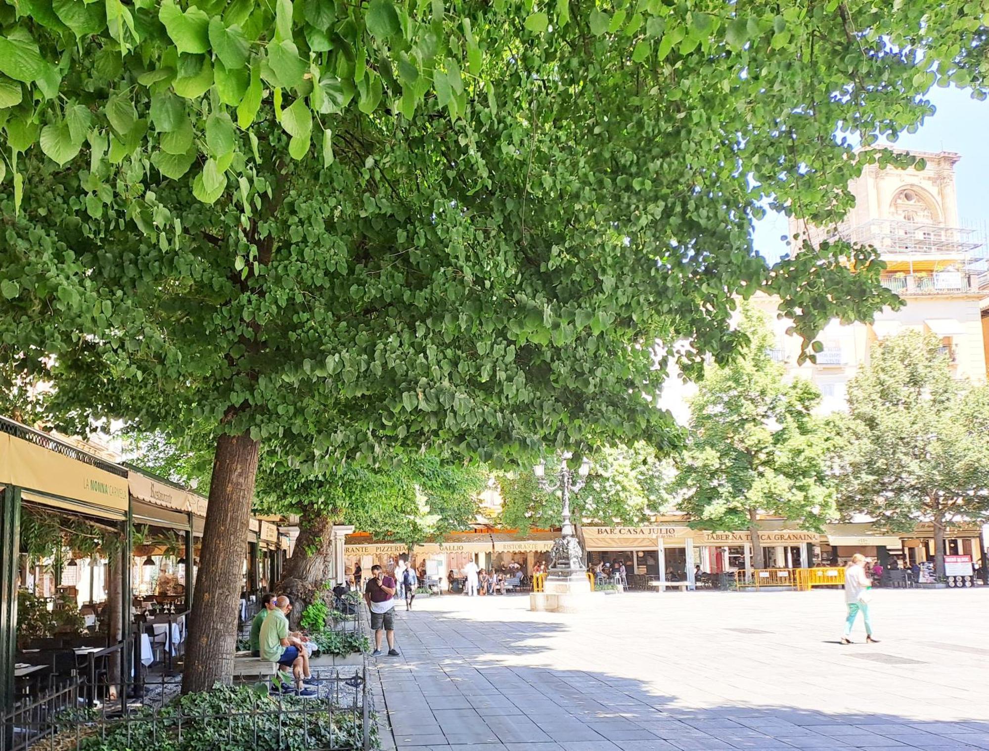 Apartasuite Deluxe Centro Histórico ático Tranquilo Con Terrazas A Pie De Calle Apartamento Granada