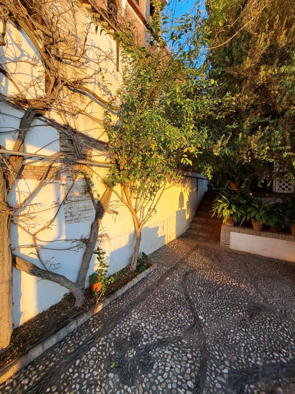 Apartamento Carmen De Belen *