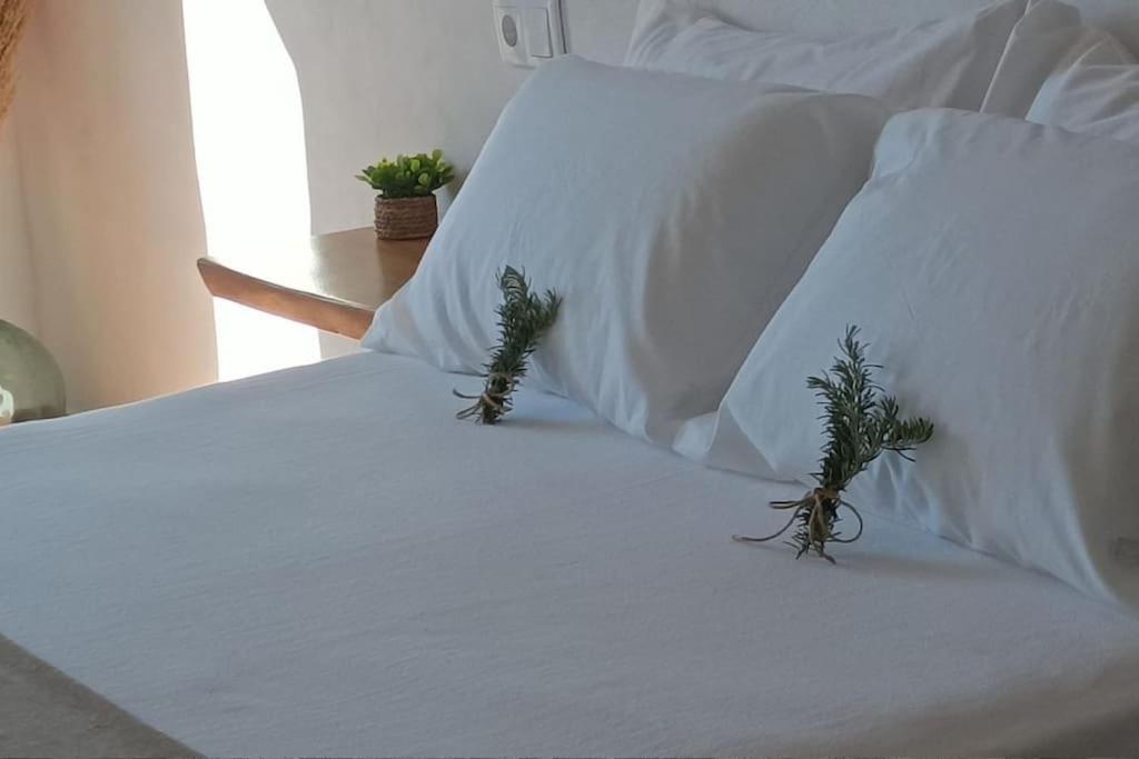 Сasa de vacaciones Casa El Almendro Piscina Privada *