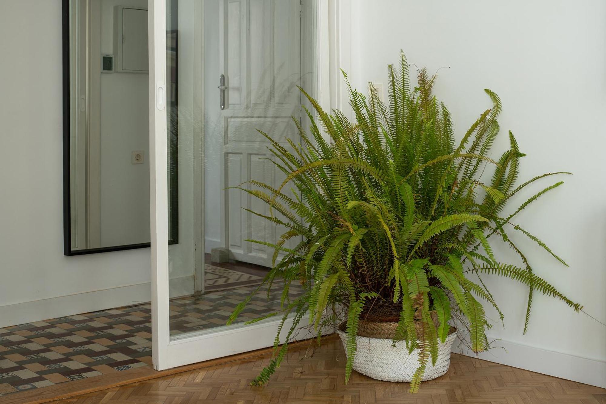 Parking Free, Vintage Haven Apartamento Granada