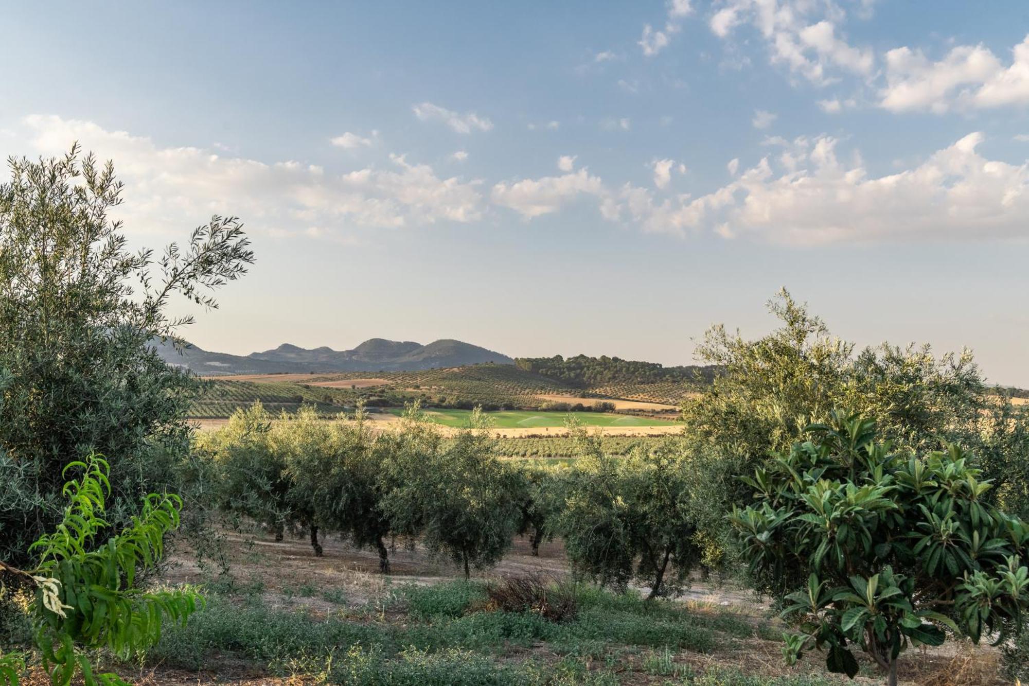La Loma Casa rural Granada