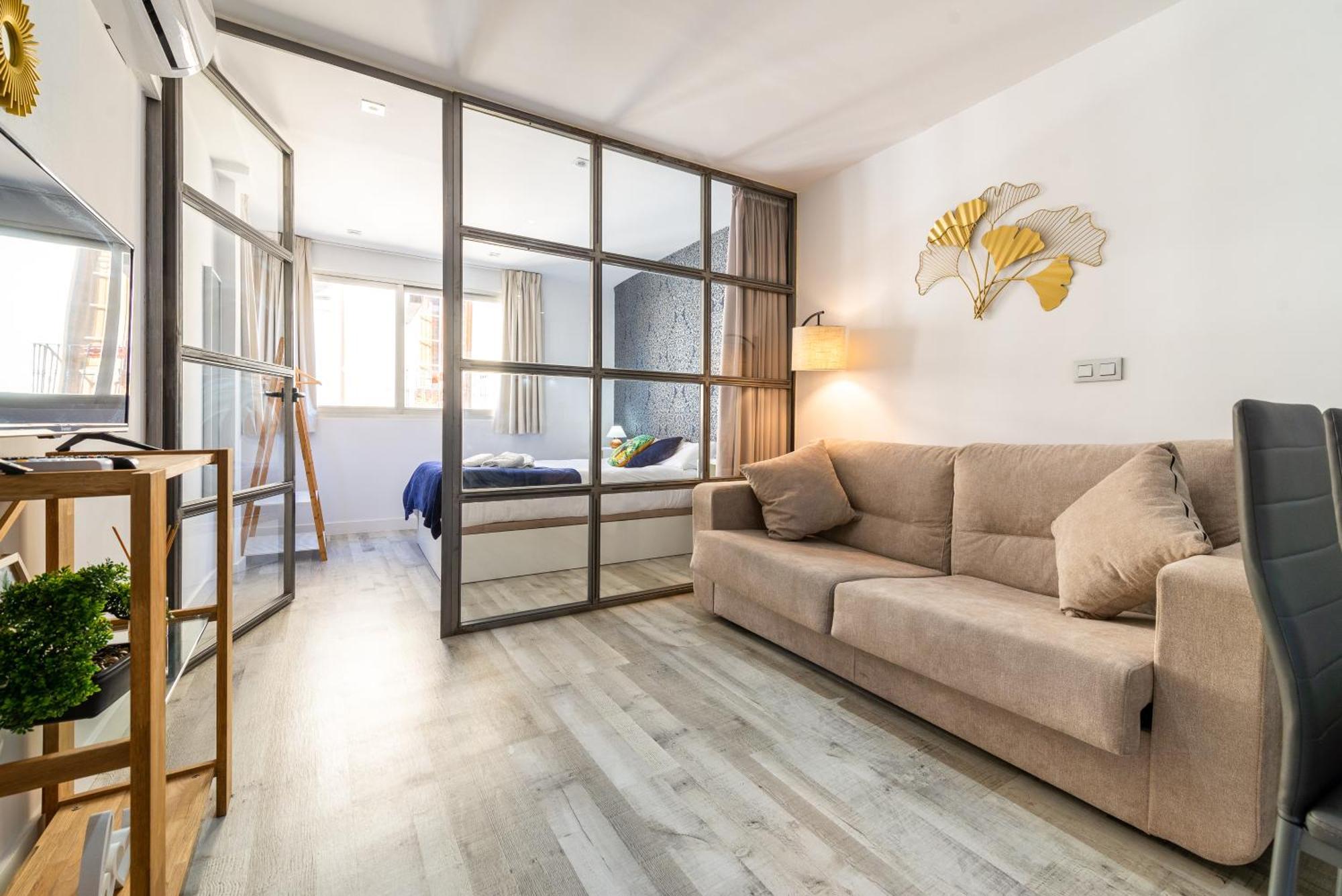 Centro Apartamento Granada