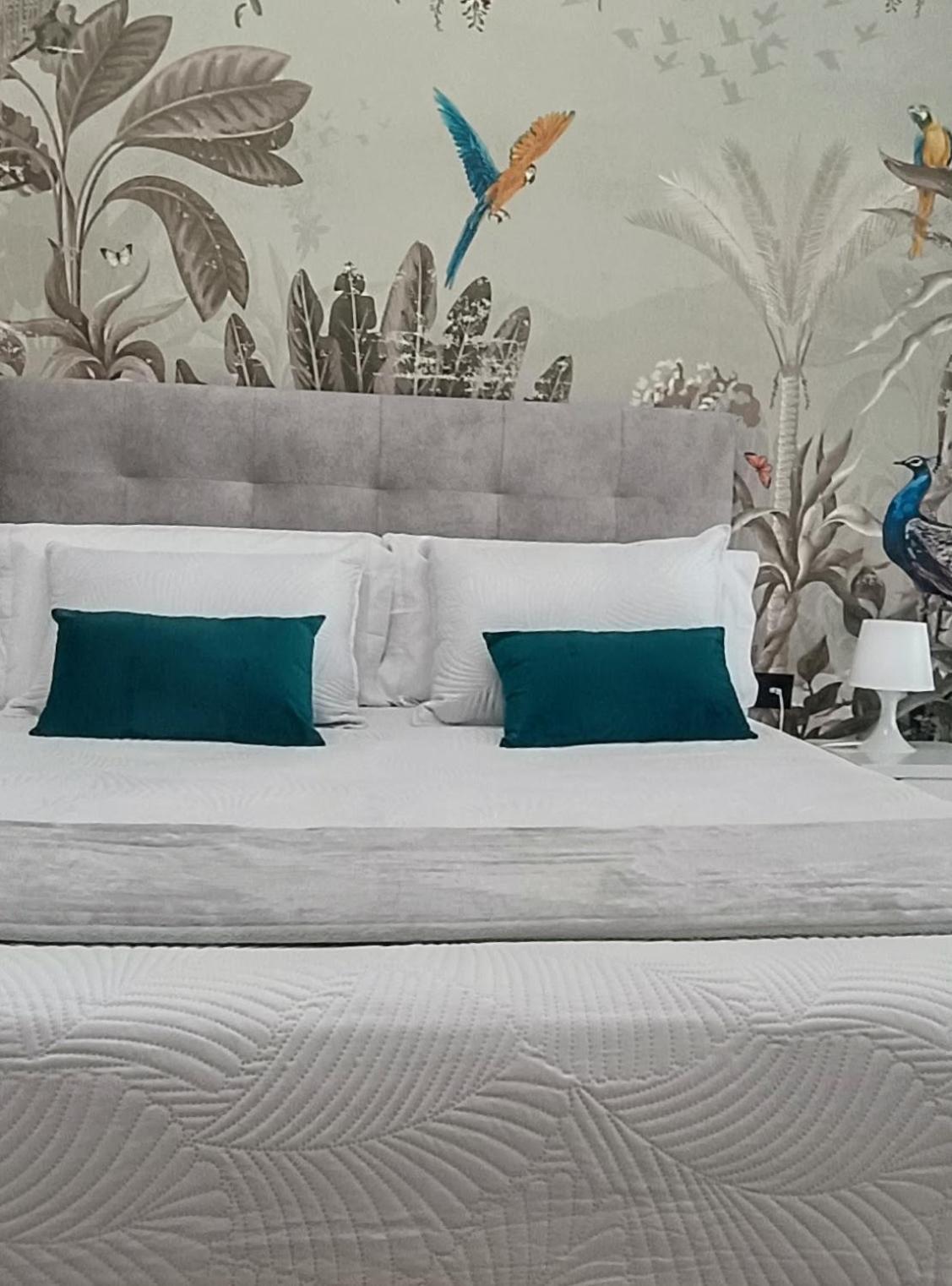 Apartamento Apartamento Ancha De Gracia
