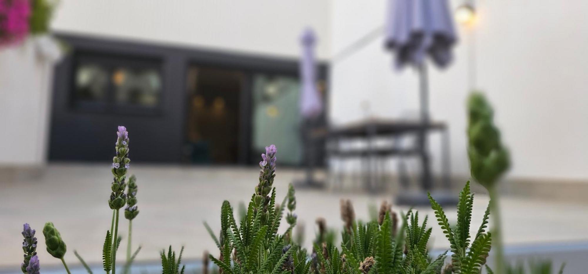 Albayda Garden *
