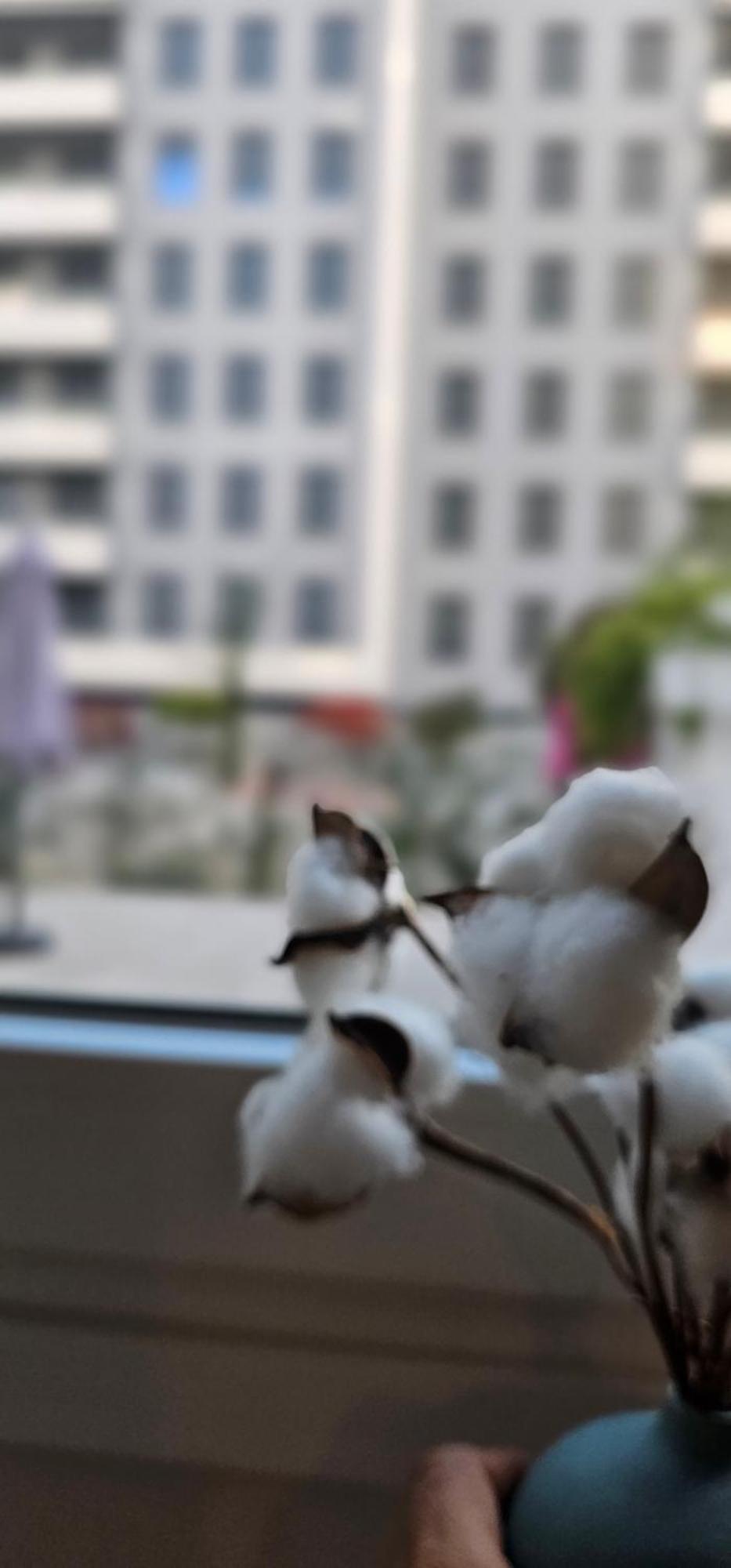 Apartamento Albayda Garden *