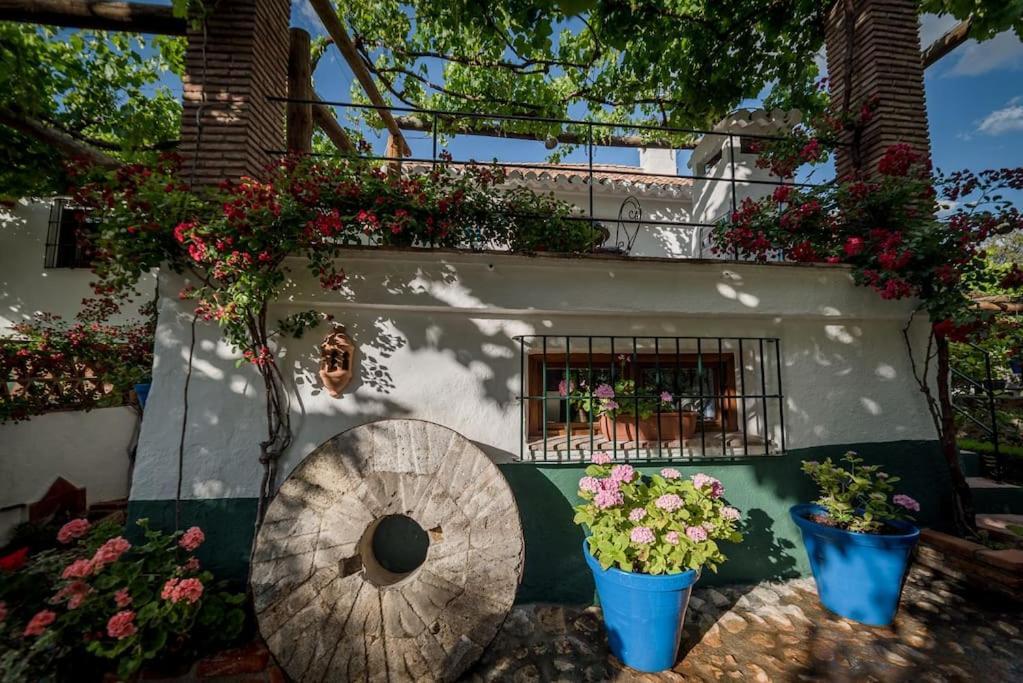 Al Agia - Molino Misqueres De Padul Apartamento Granada