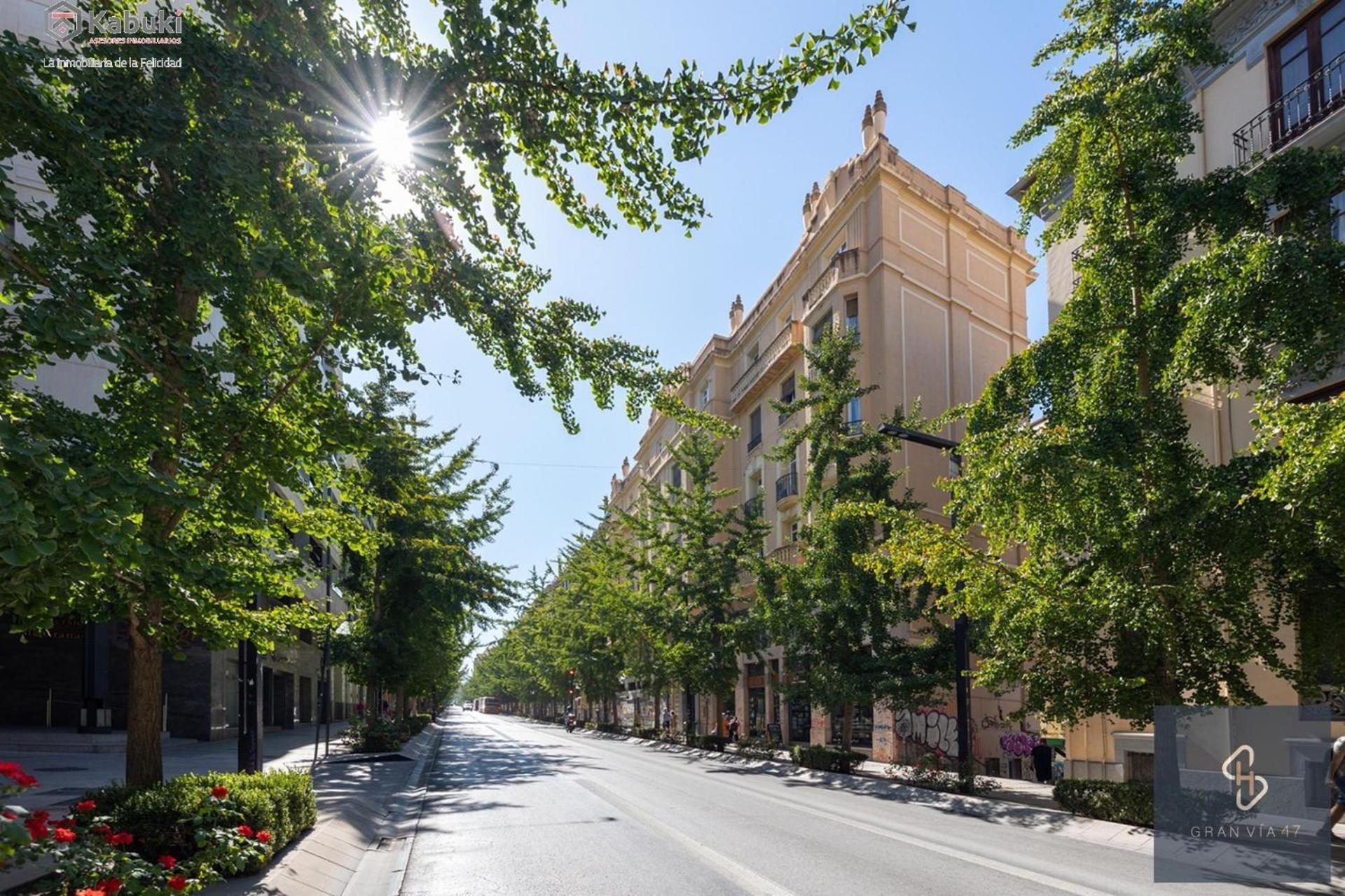 Apartment Home4u Gran Via Luxury