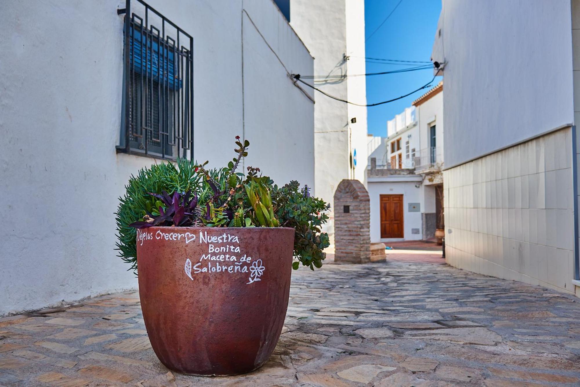 Piso Moderno Y Amplio Estudiantes Apartamento
