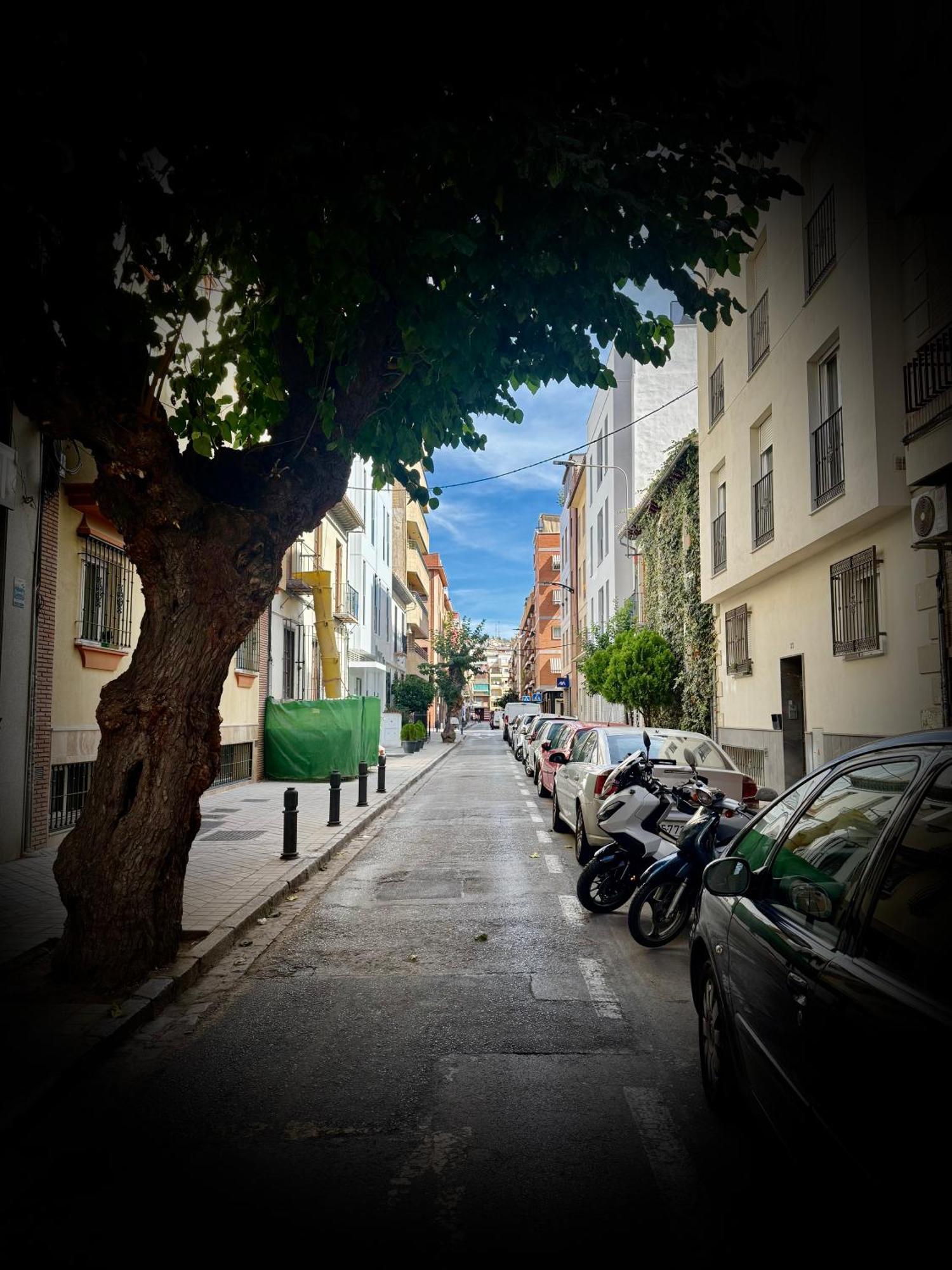 Centrico Con Parking Apartment Granada