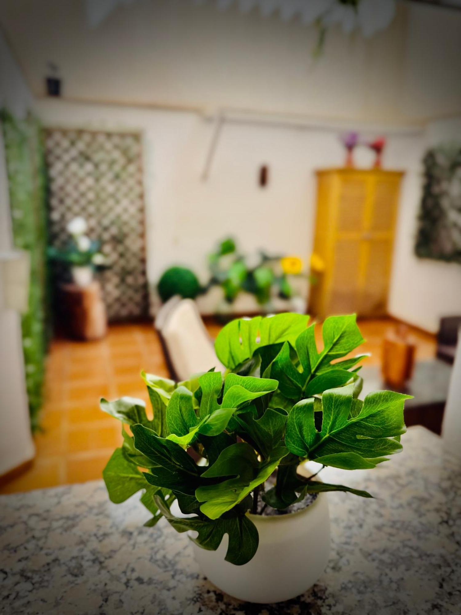 Centrico Con Parking Apartment *