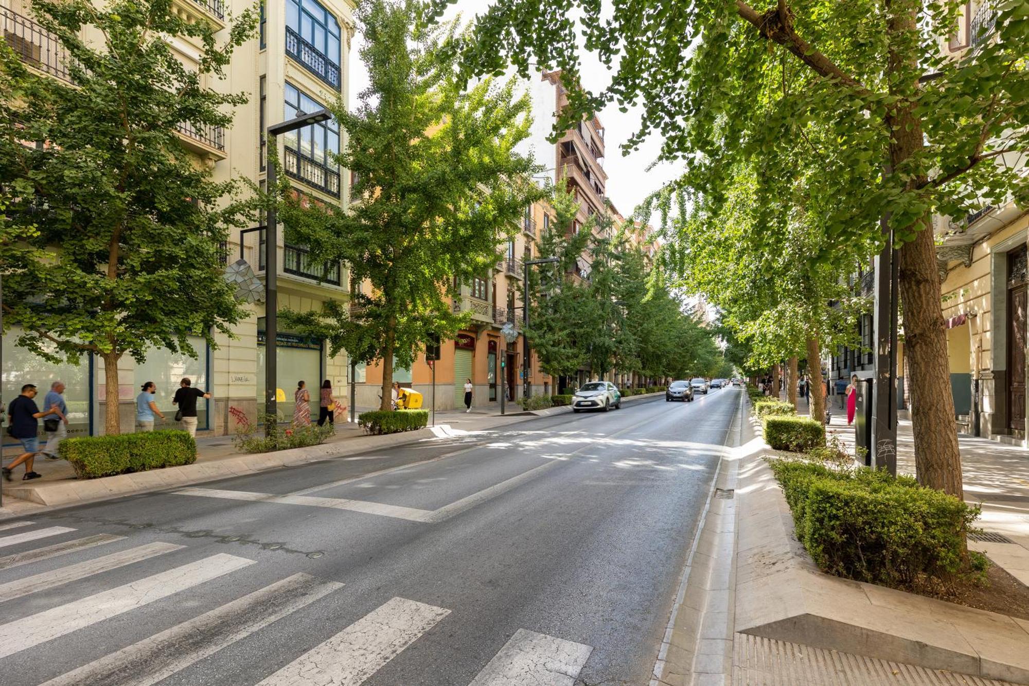 Apartamento Luxury Via De Colon