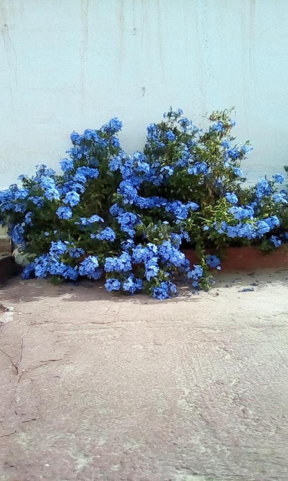 Casita En Altos Del Albaycin Сasa de vacaciones *