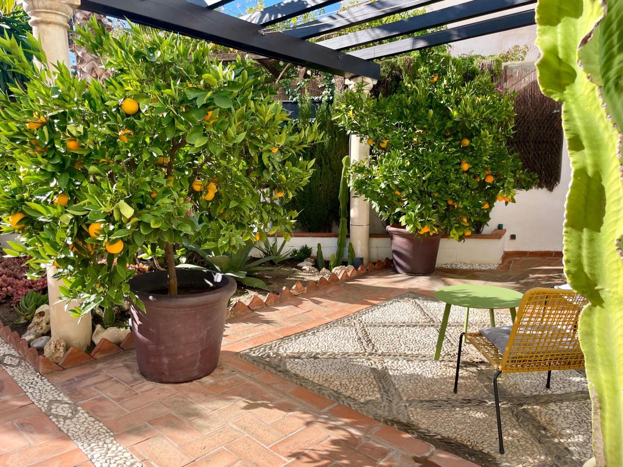 San Miguel Bed & Breakfast Granada