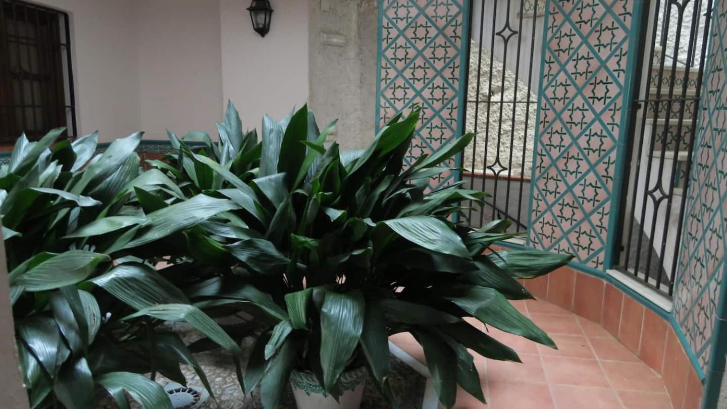 Charming Albaicin Patio Flat Free Onsite Parking