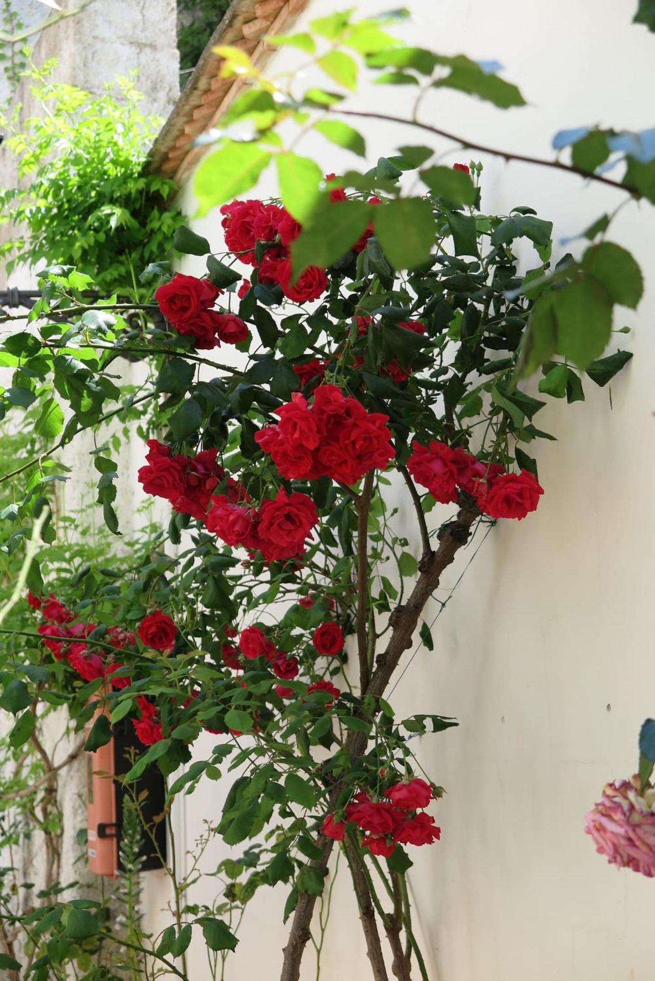 Apartamento Charming Albaicin Patio Flat Free Onsite Parking Granada