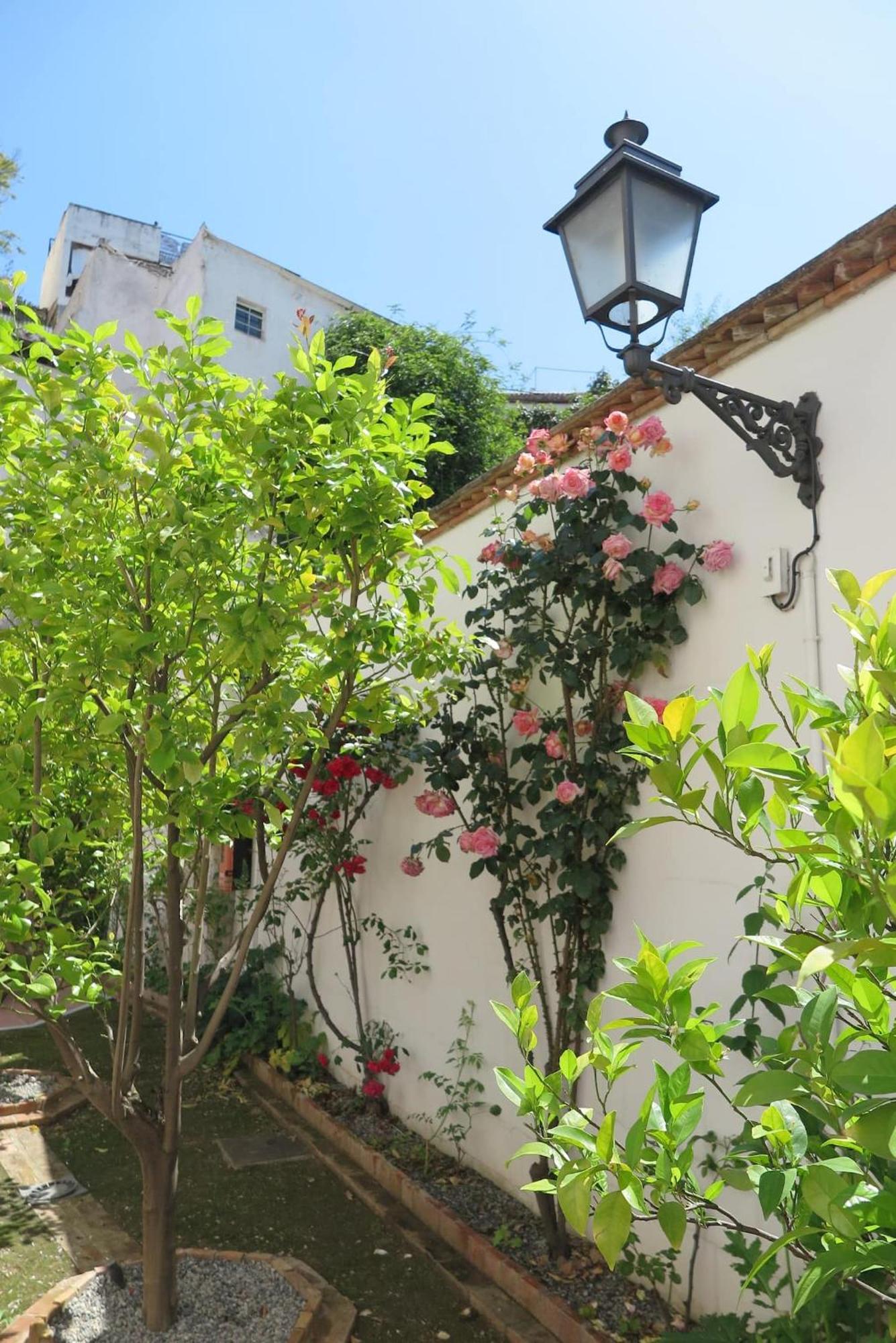 Charming Albaicin Patio Flat Free Onsite Parking *