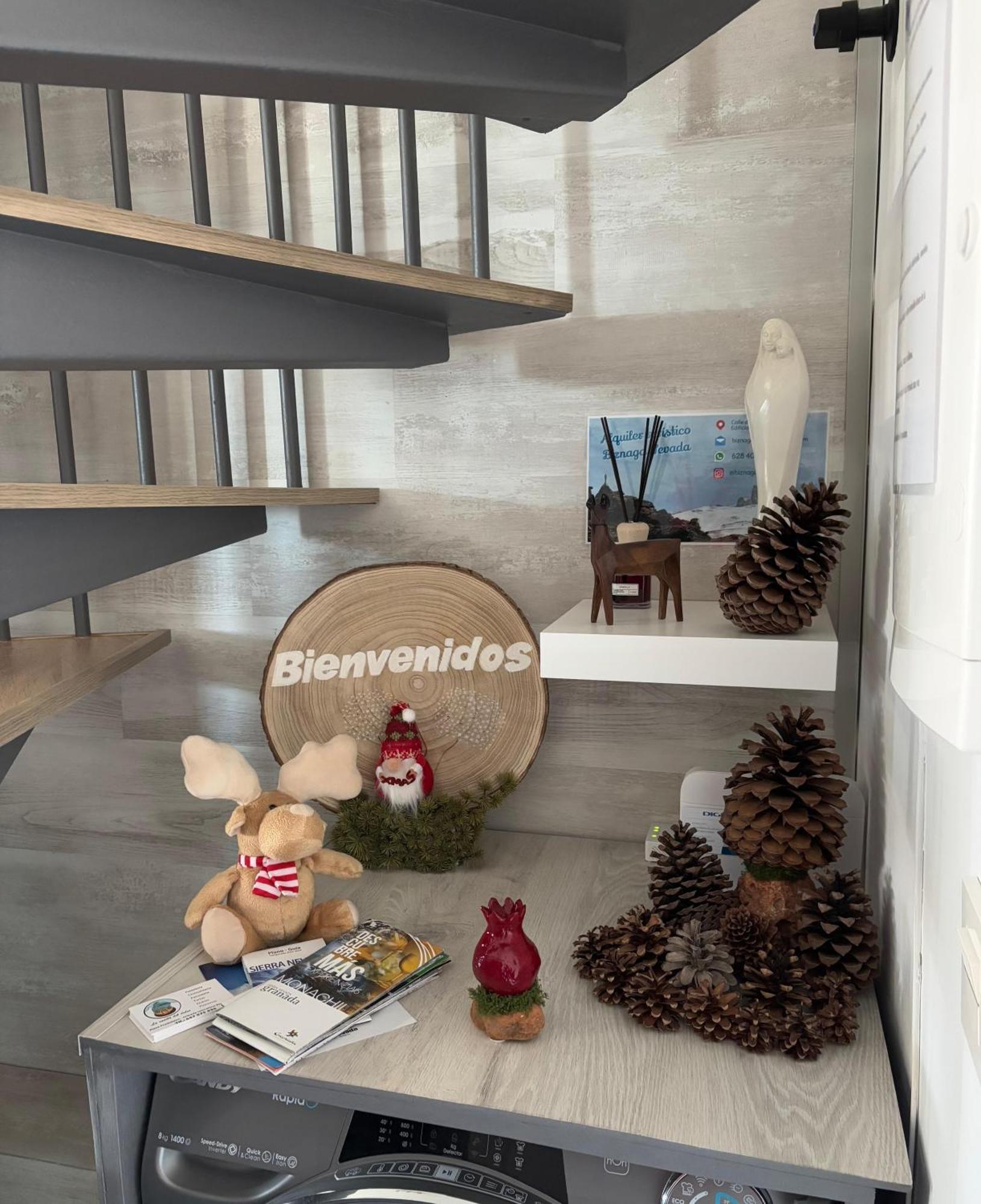 Apartamento Biznaga Nevada *