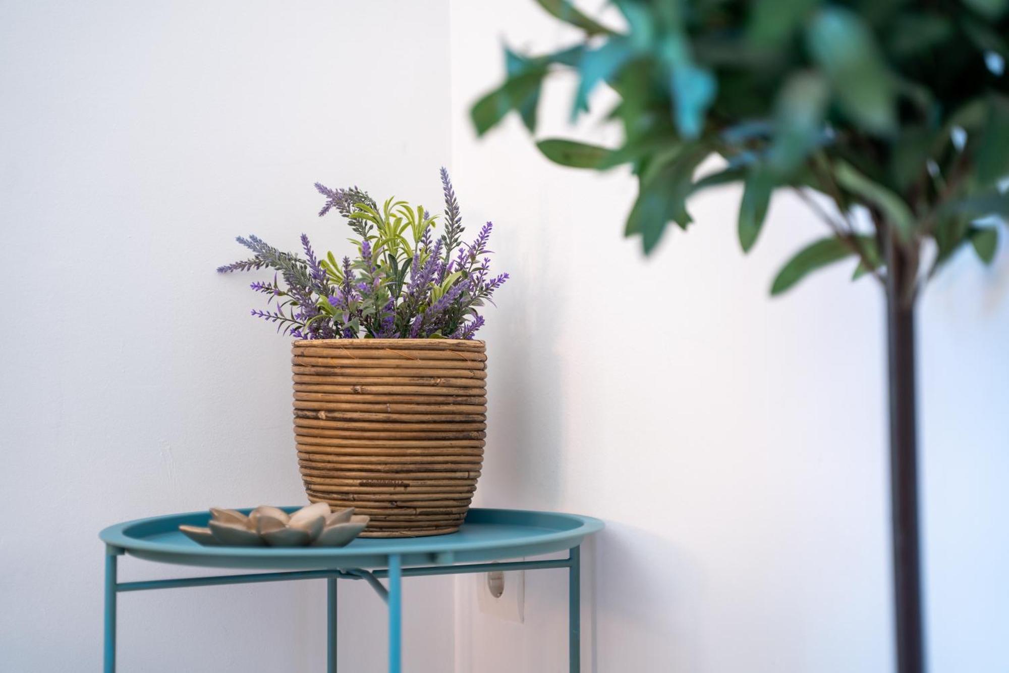 Apartamento La Casita De Real De Cartuja *