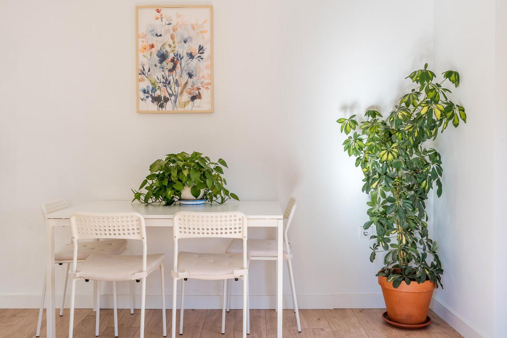Apartamento Piso Garaje Gratis