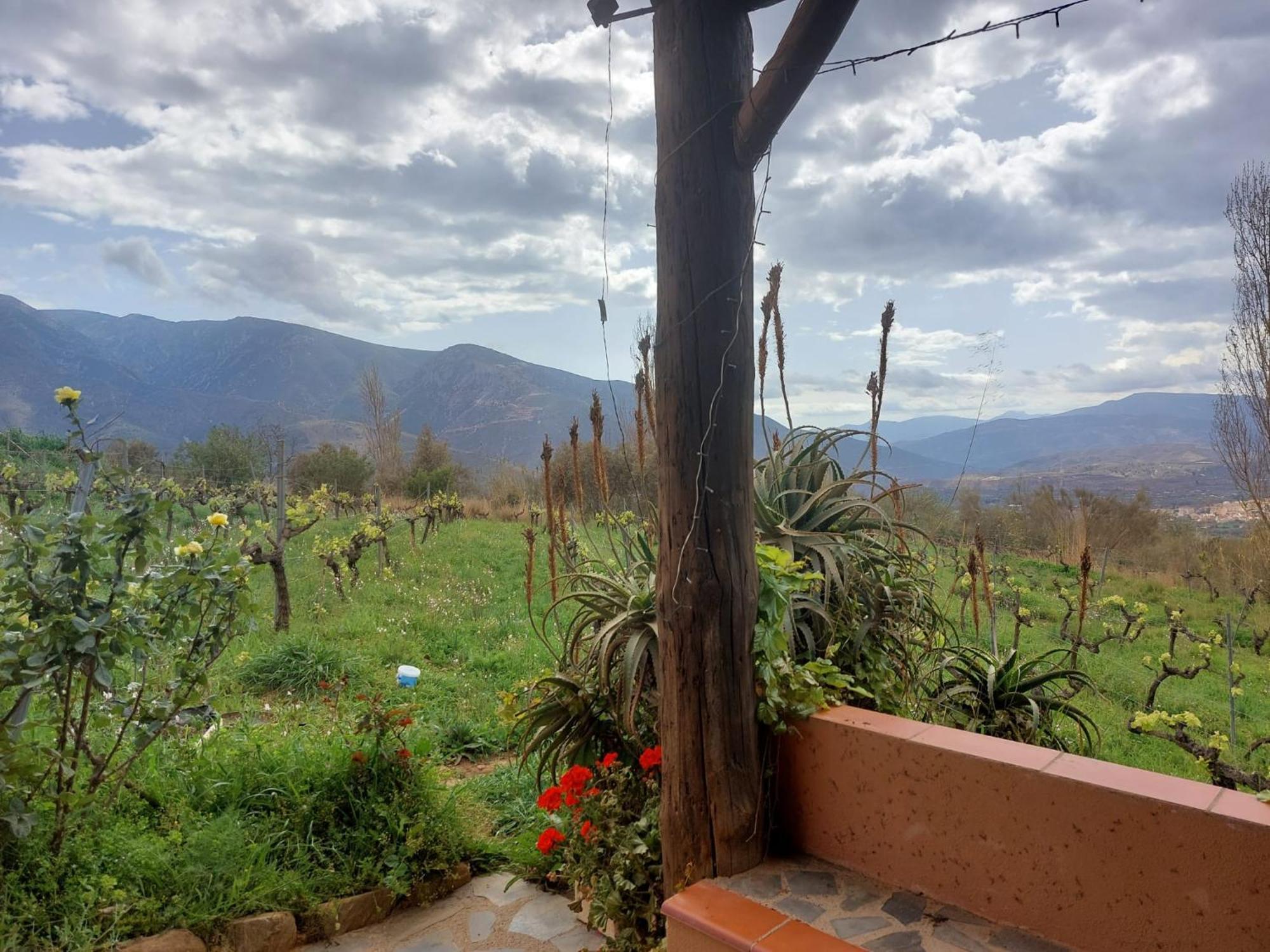 Cortijo El Cerrillo Country house *