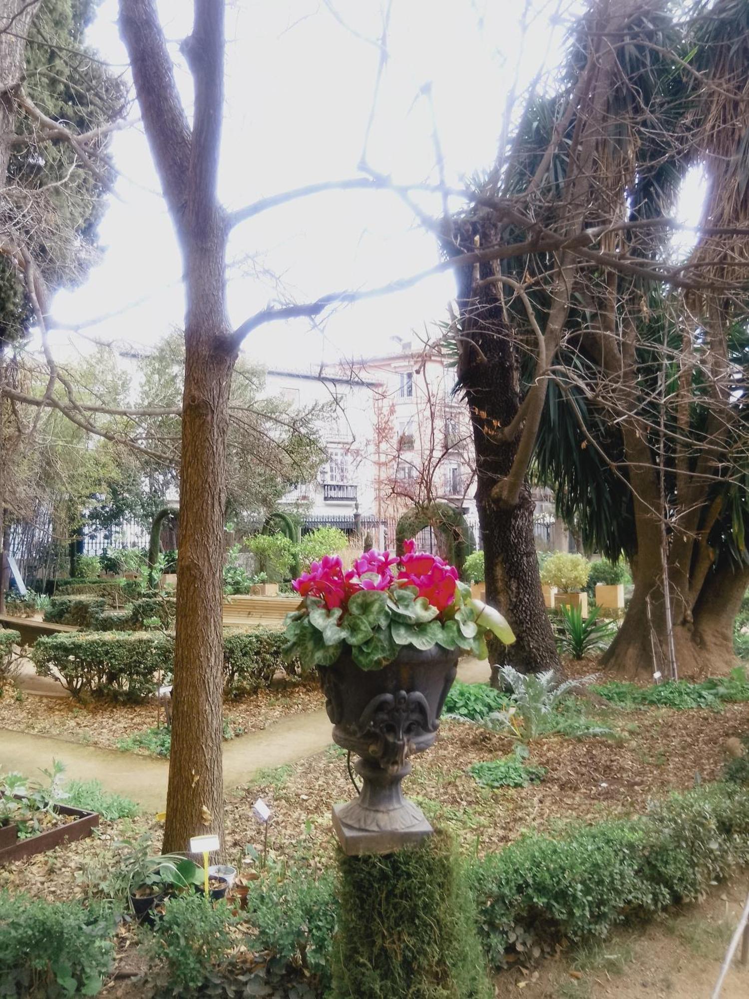 Apartamento Precioso Estudio En El Corazon De Granada