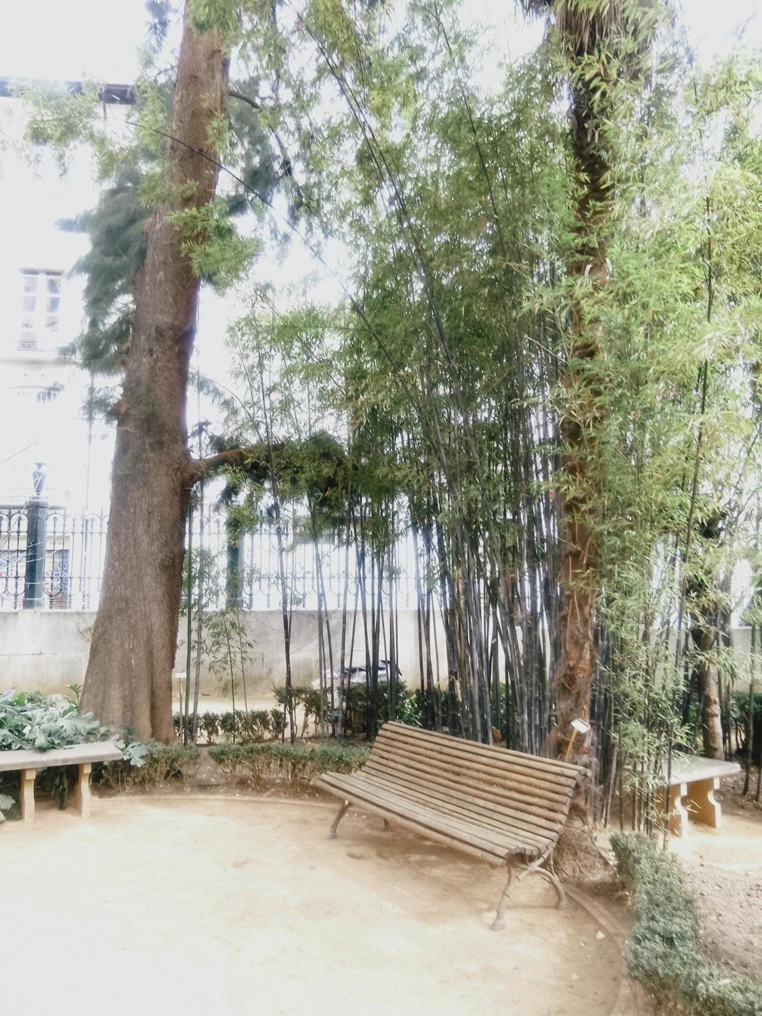 Apartamento Precioso Estudio En El Corazon De Granada